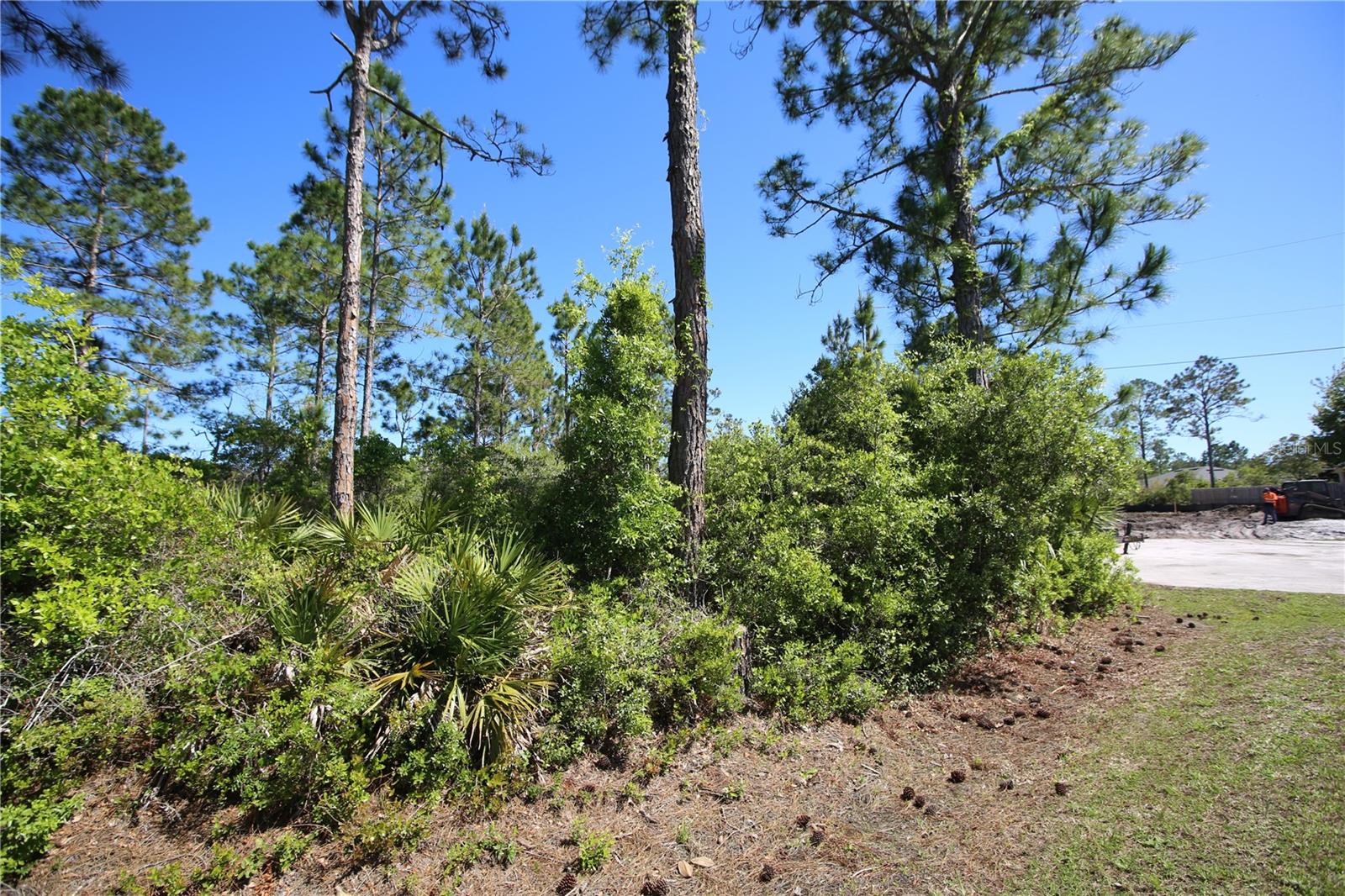 5 SERIEMA CT, PALM COAST, FL, 32164