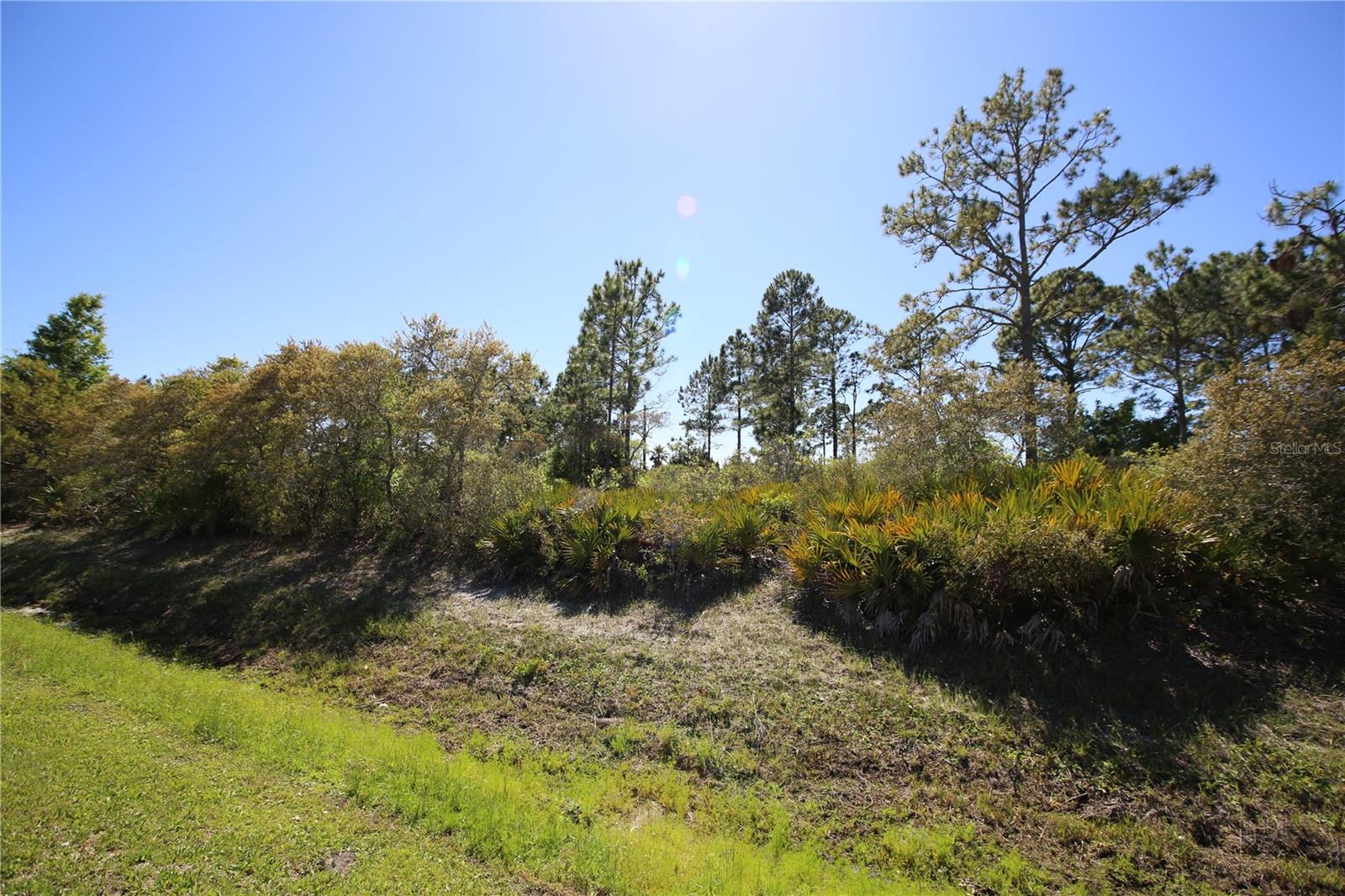 5 SERIEMA CT, PALM COAST, FL, 32164