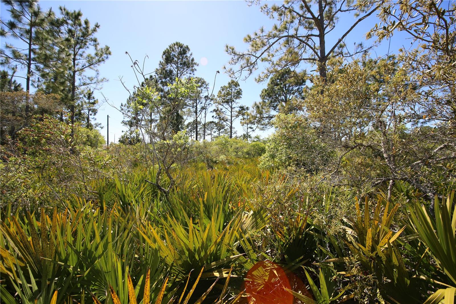 5 SERIEMA CT, PALM COAST, FL, 32164