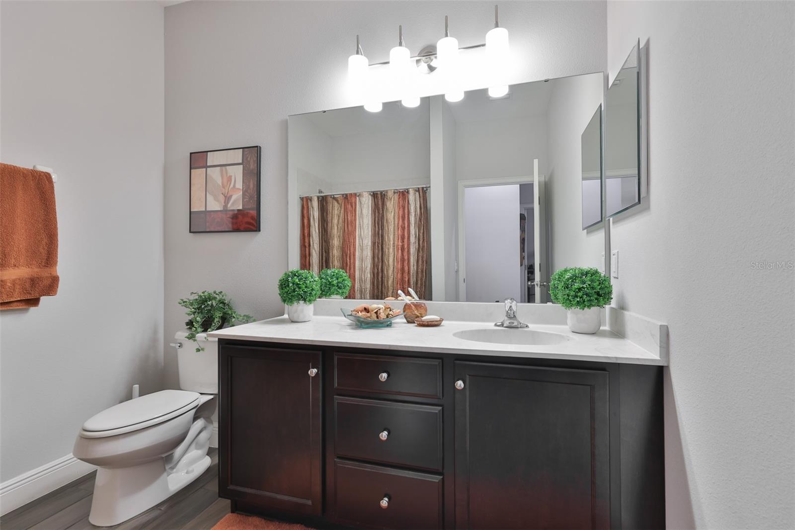 11014 BRAHMAN RANCH CIR, RIVERVIEW, FL, 33578