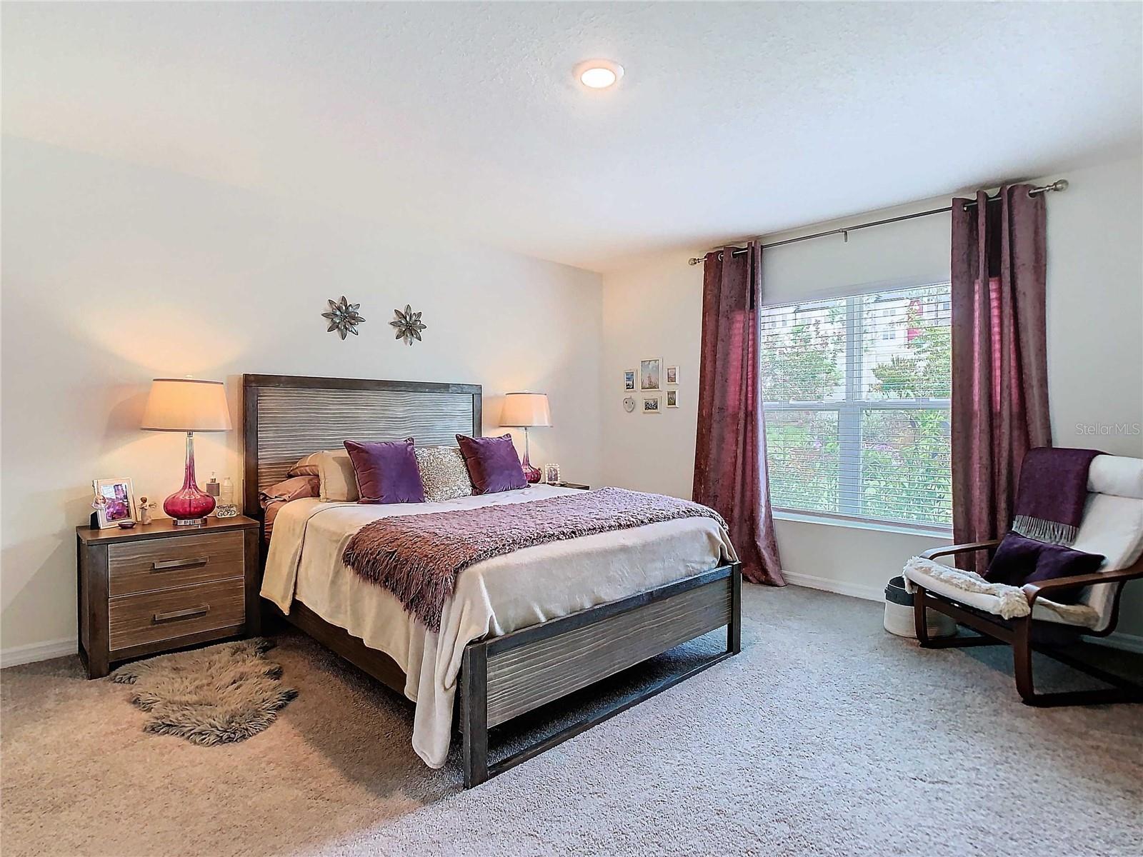 7737 SAIL CLOVER LN, ZEPHYRHILLS, FL, 33540