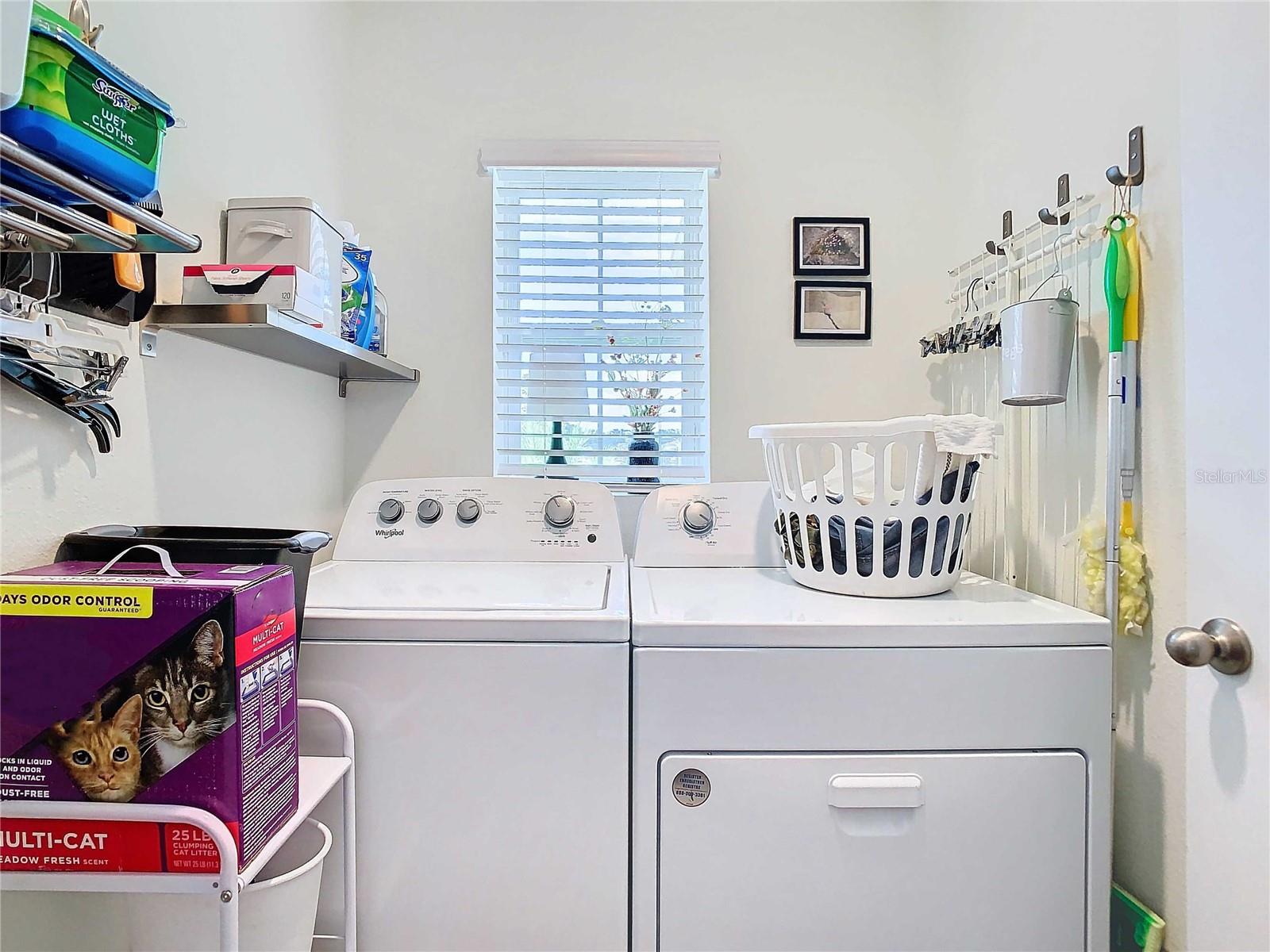 7737 SAIL CLOVER LN, ZEPHYRHILLS, FL, 33540