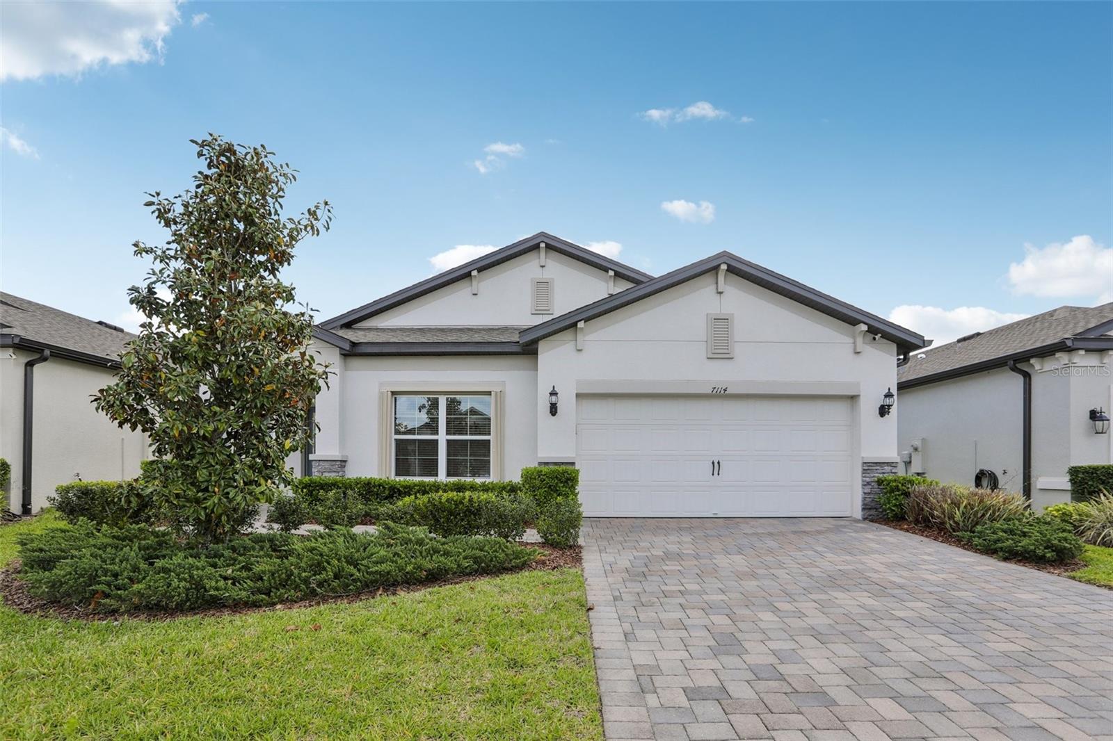 7114 GULF CYPRESS AVE, LAND O LAKES, FL, 34637