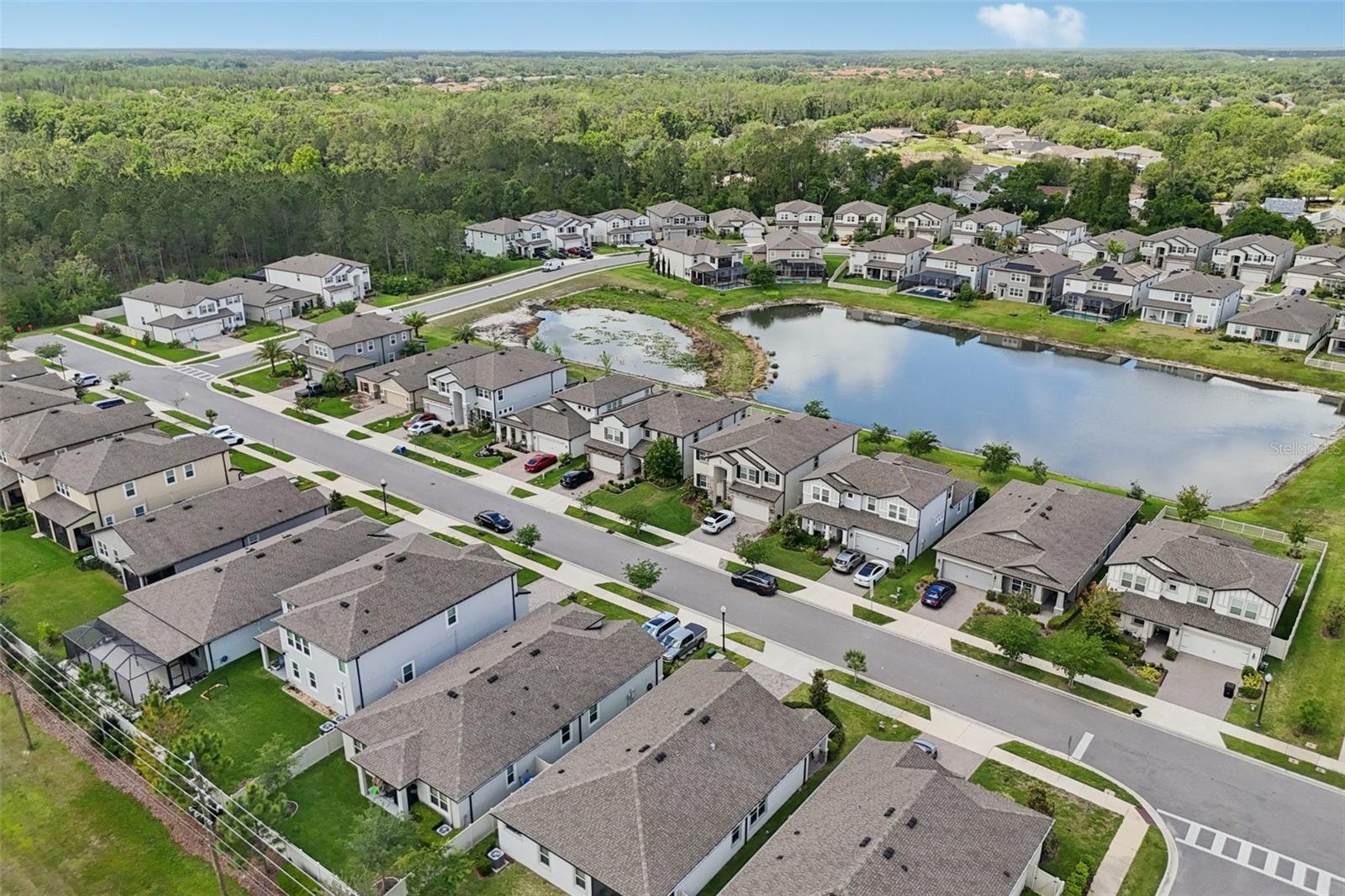 7114 GULF CYPRESS AVE, LAND O LAKES, FL, 34637