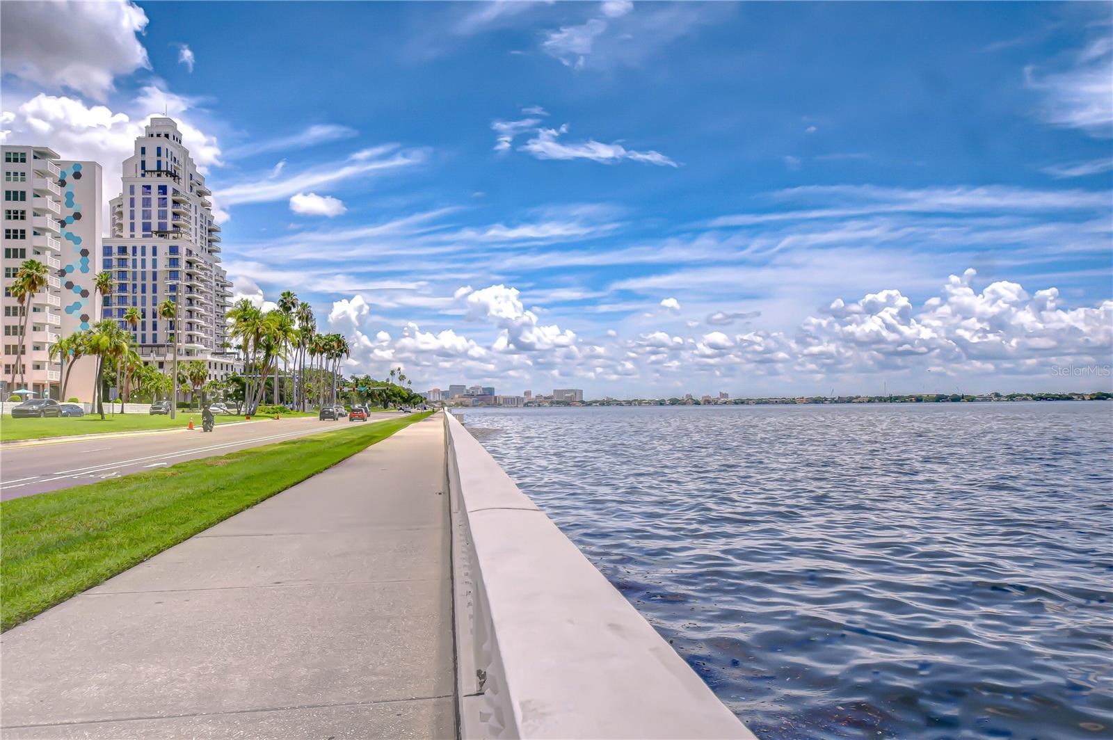 2413 BAYSHORE BLVD #1003, TAMPA, FL, 33629