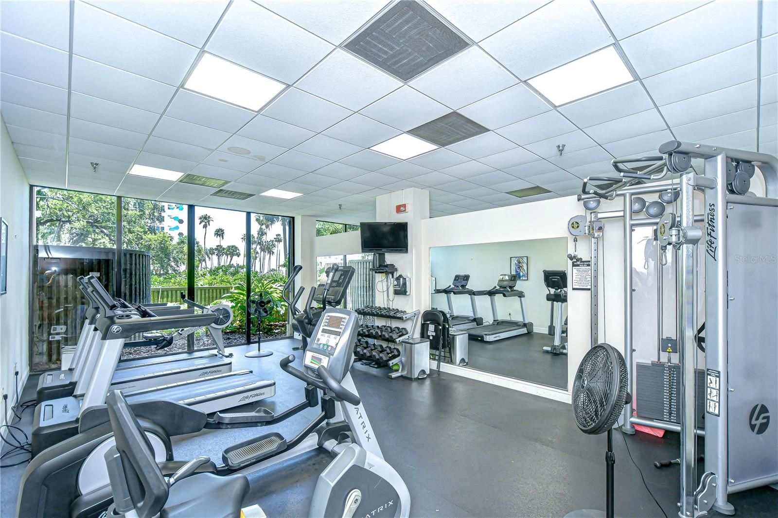 2413 BAYSHORE BLVD #1003, TAMPA, FL, 33629