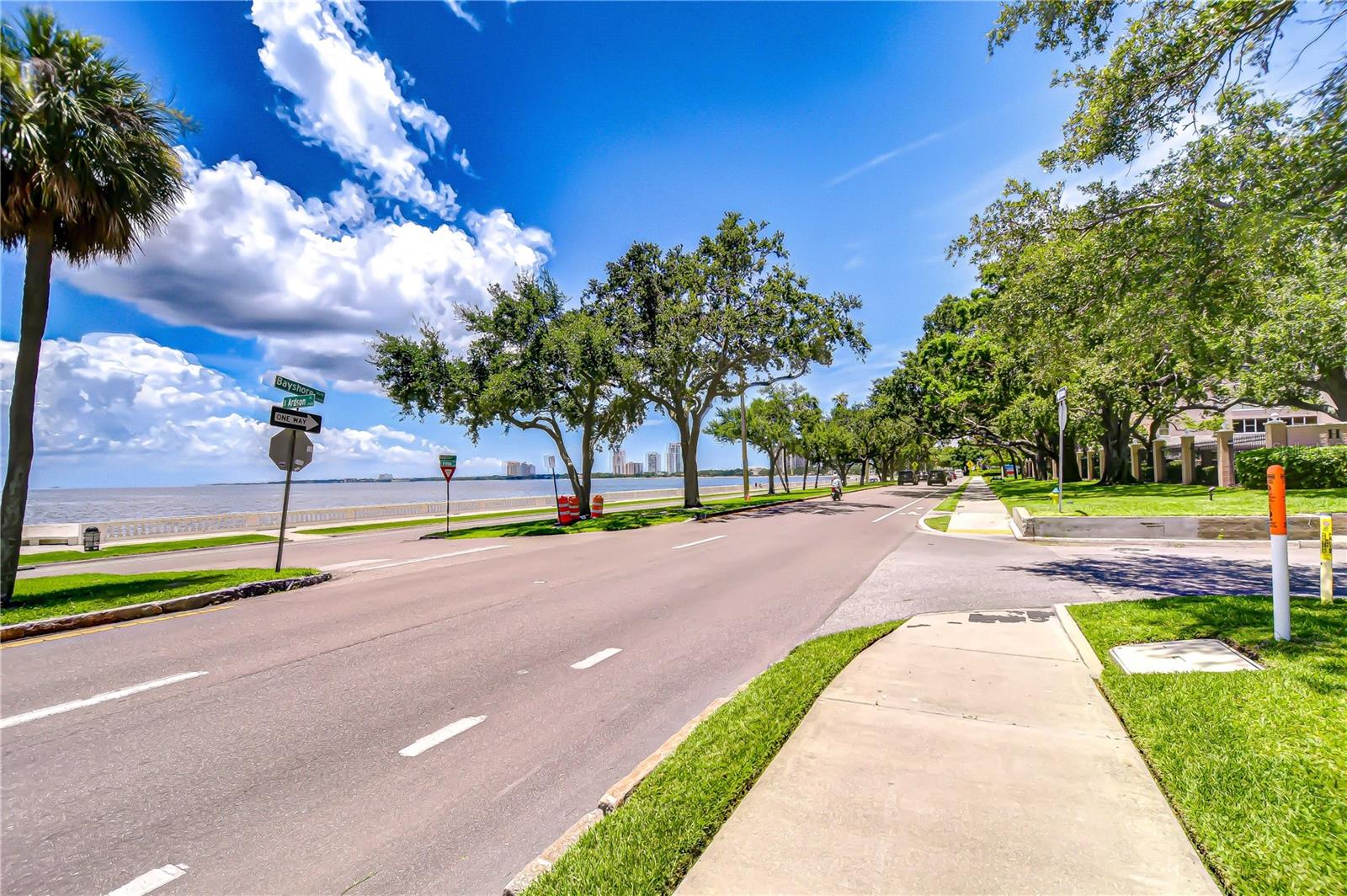 2413 BAYSHORE BLVD #1003, TAMPA, FL, 33629