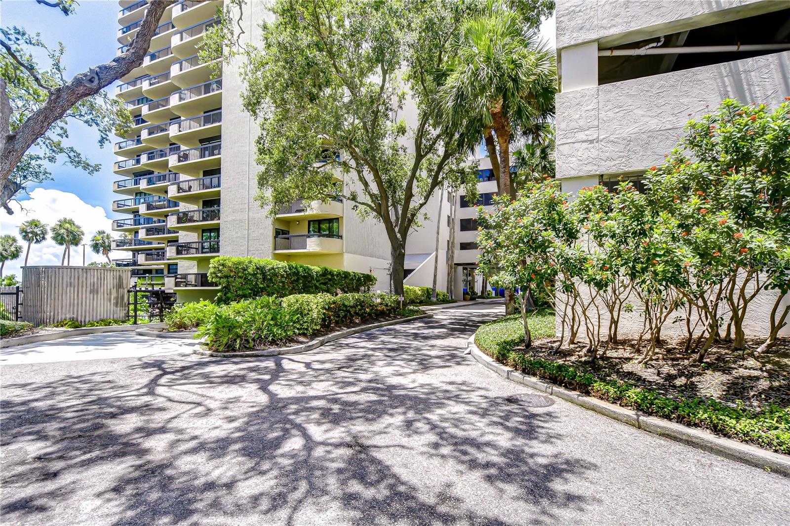 2413 BAYSHORE BLVD #1003, TAMPA, FL, 33629