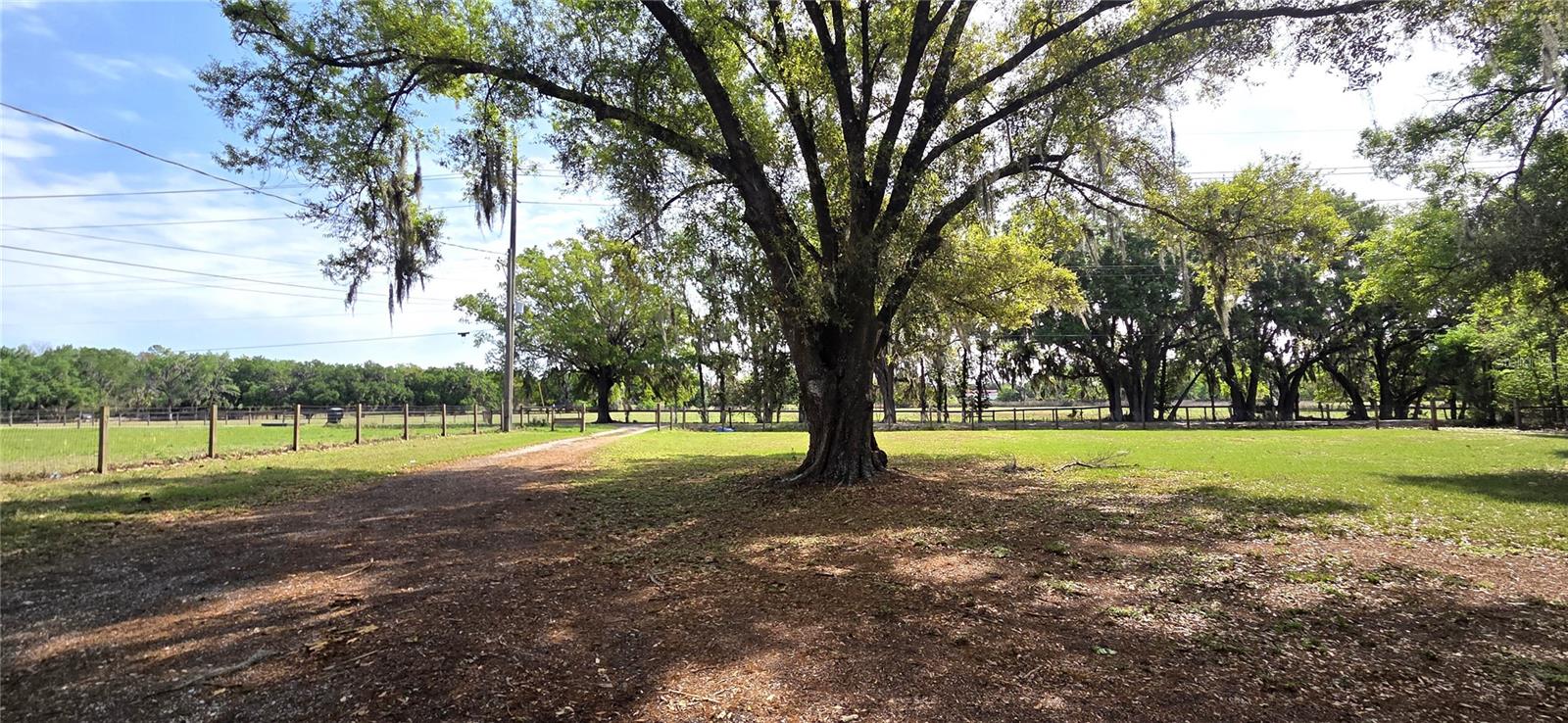 3621 SMITH RYALS RD, PLANT CITY, FL, 33567