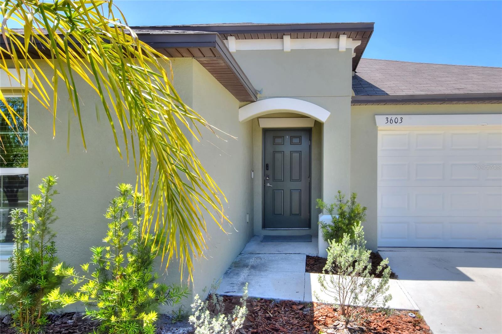 3603 NATURAL TRACE ST, PLANT CITY, FL, 33565