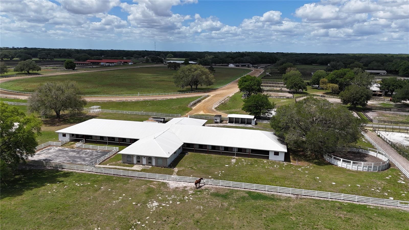 4450 SE 216TH AVE, MORRISTON, FL, 32668