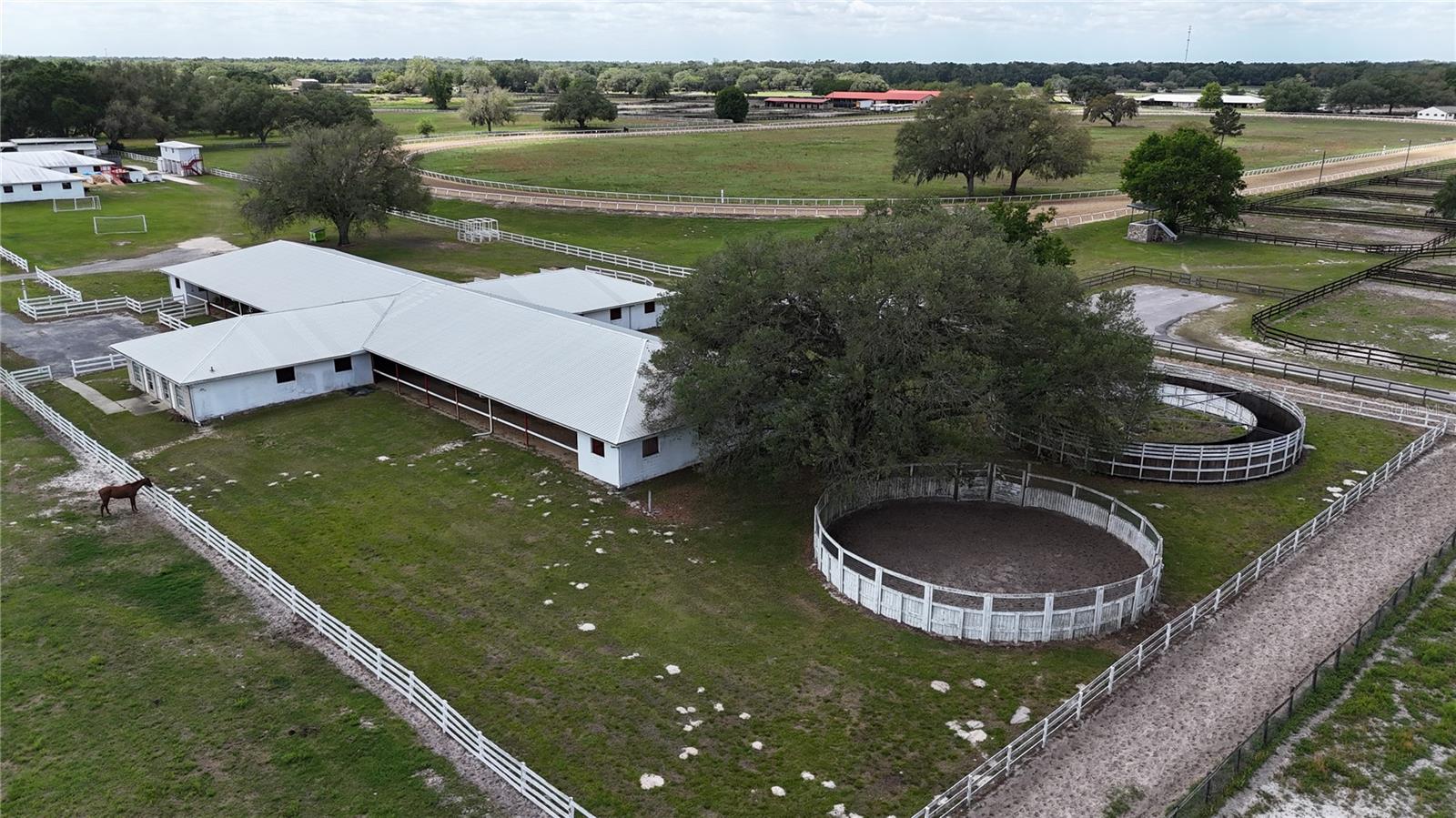 4450 SE 216TH AVE, MORRISTON, FL, 32668