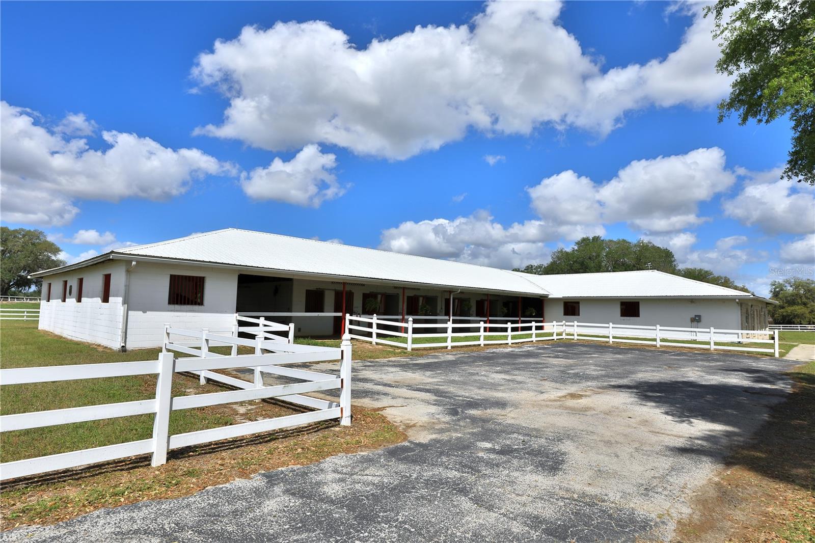 4450 SE 216TH AVE, MORRISTON, FL, 32668