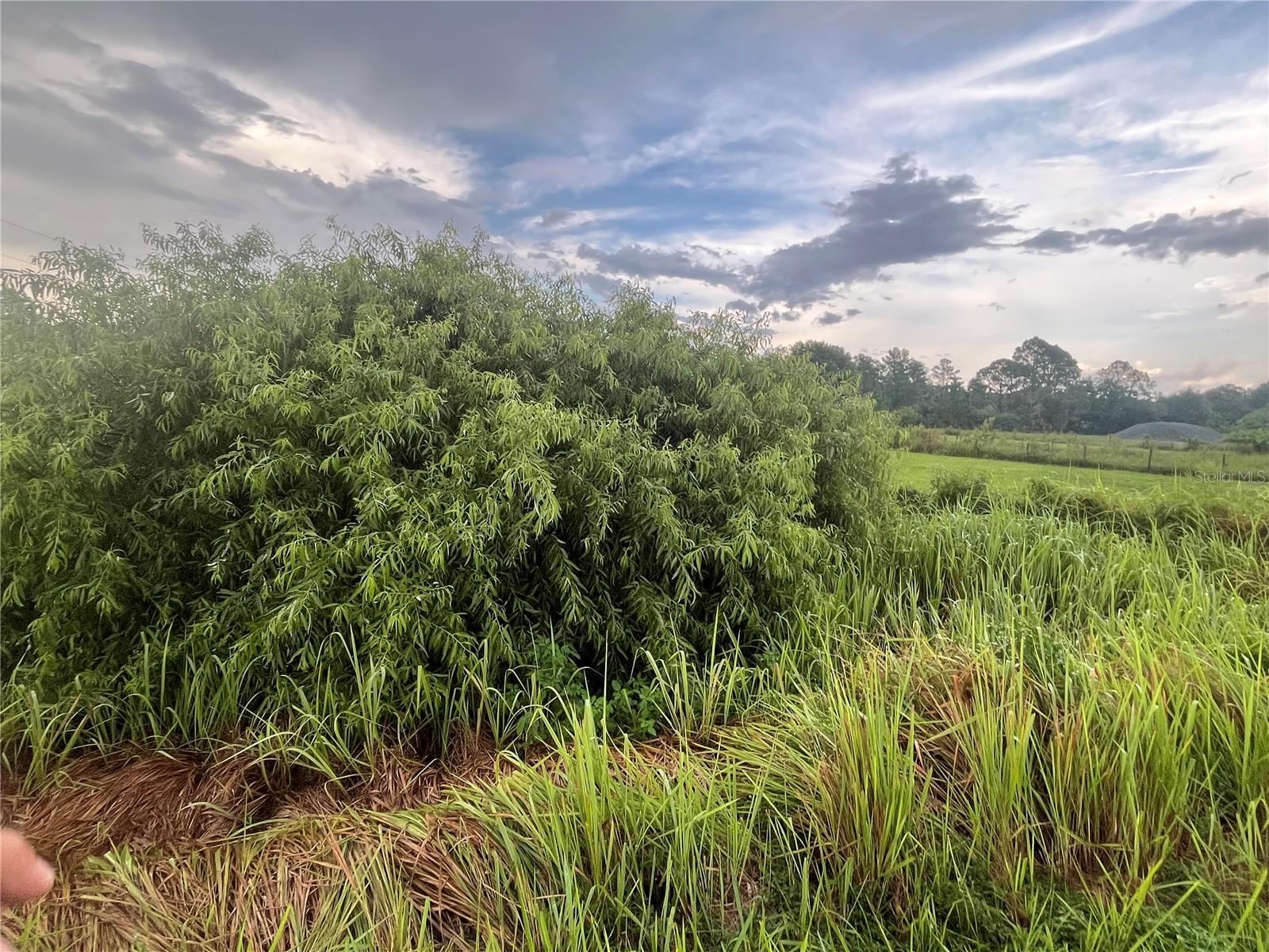 E STATE RD 60, OKEECHOBEE, FL, 34972