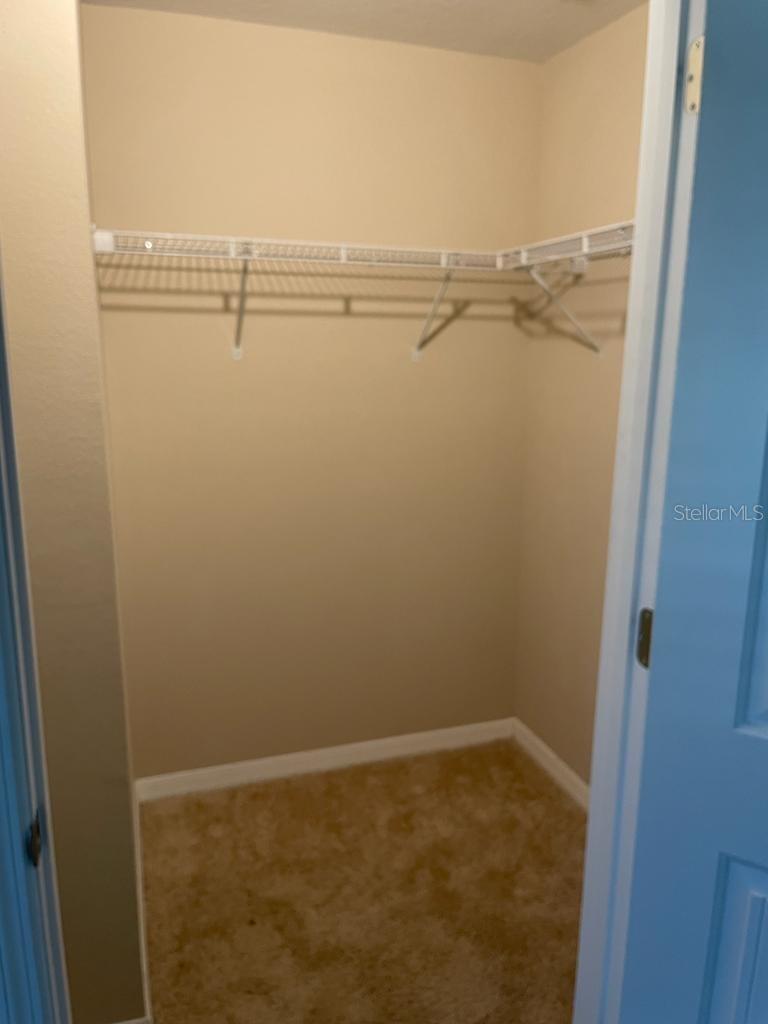 10042 SALT POINT DR, WINTER GARDEN, FL, 34787