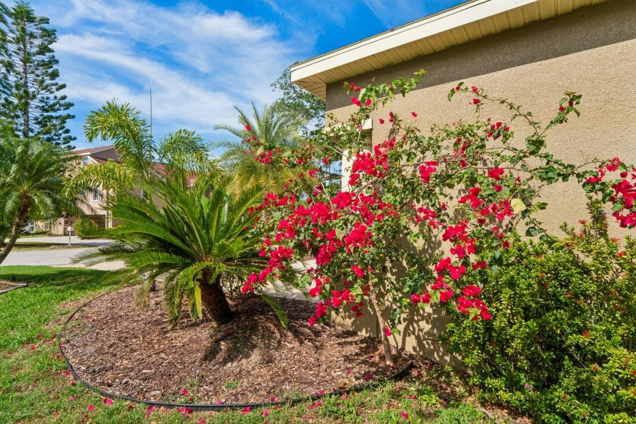 7340 BRIGHTWATERS CT, NEW PORT RICHEY, FL, 34652