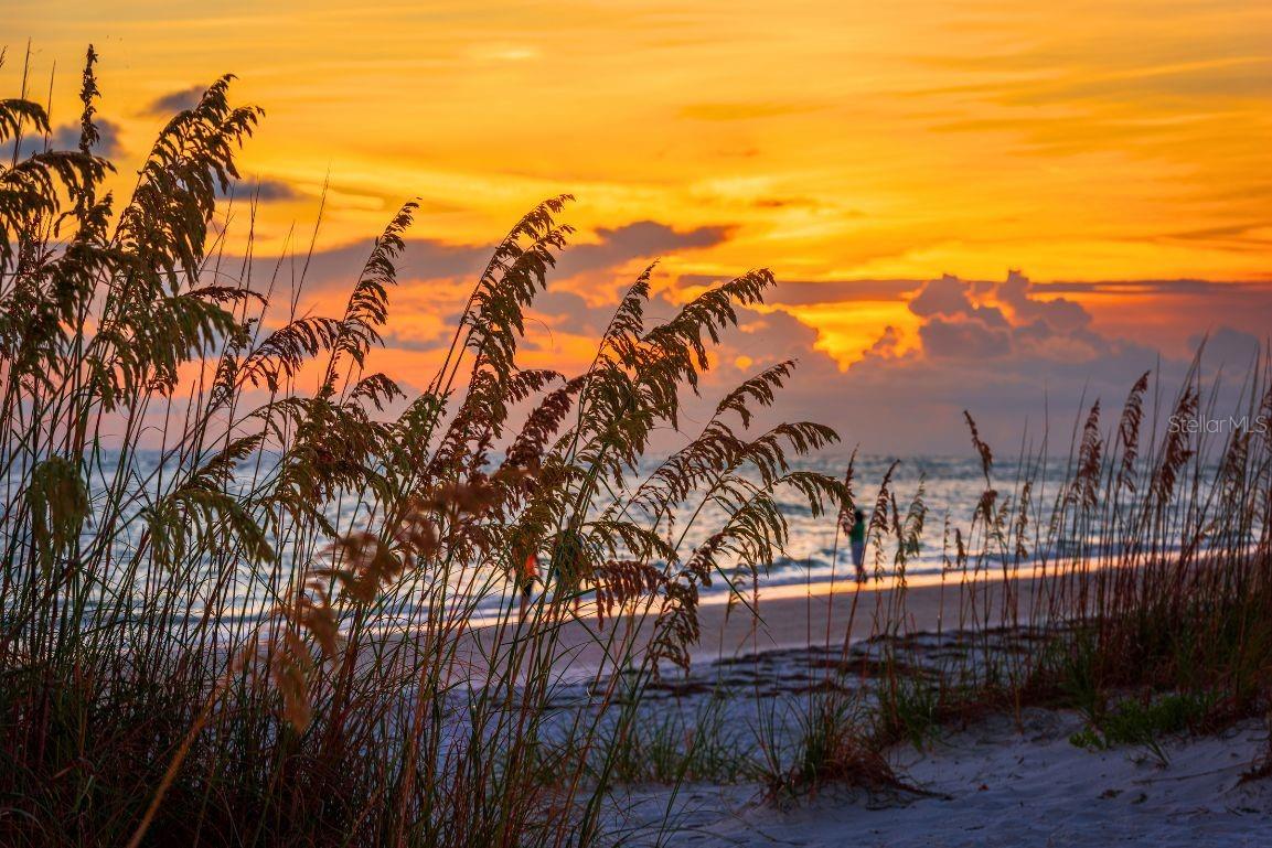 500 N JEFFERSON AVE ## 1, SARASOTA, FL, 34237