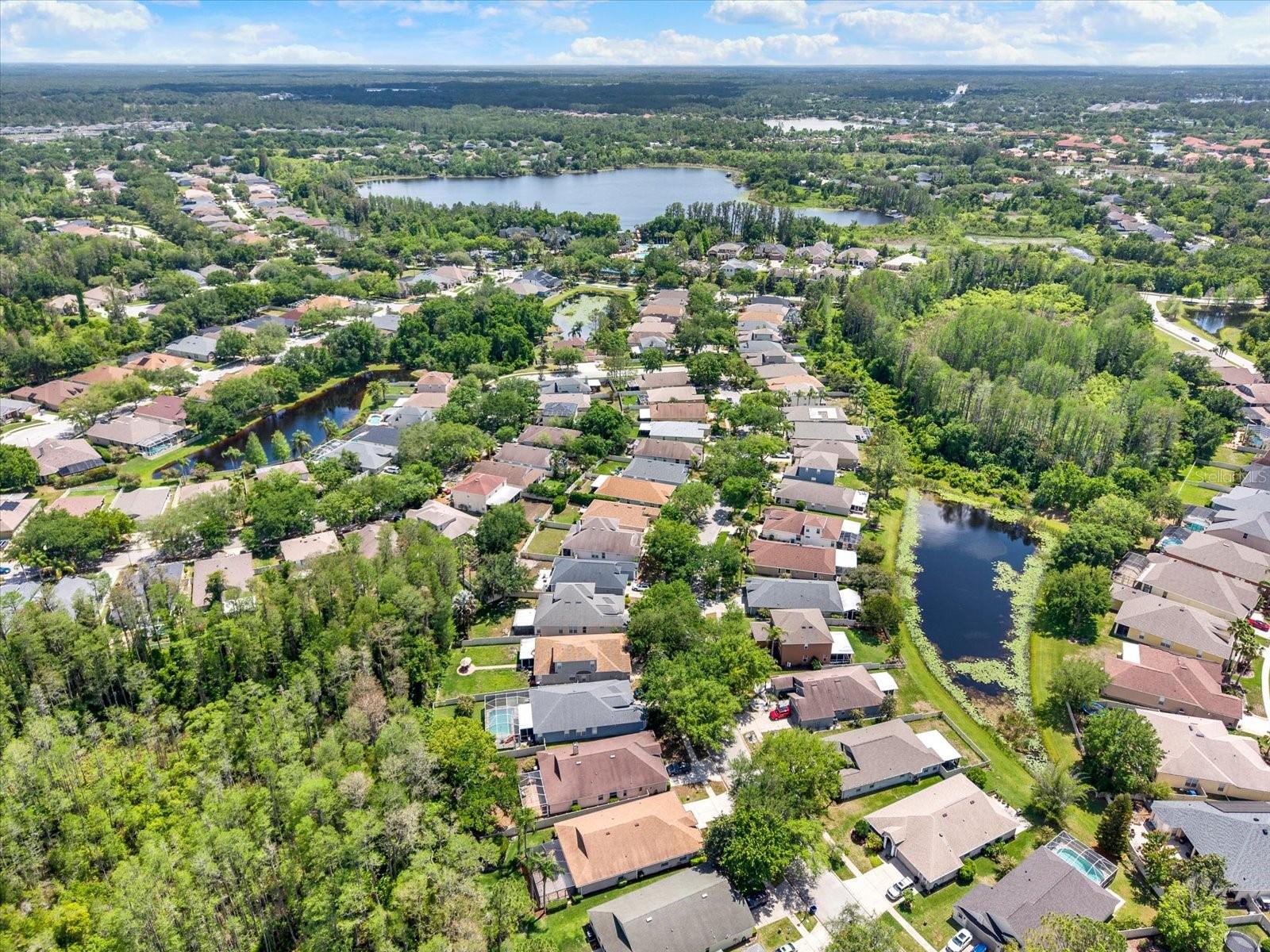 7642 CITRUS BLOSSOM DR, LAND O LAKES, FL, 34637