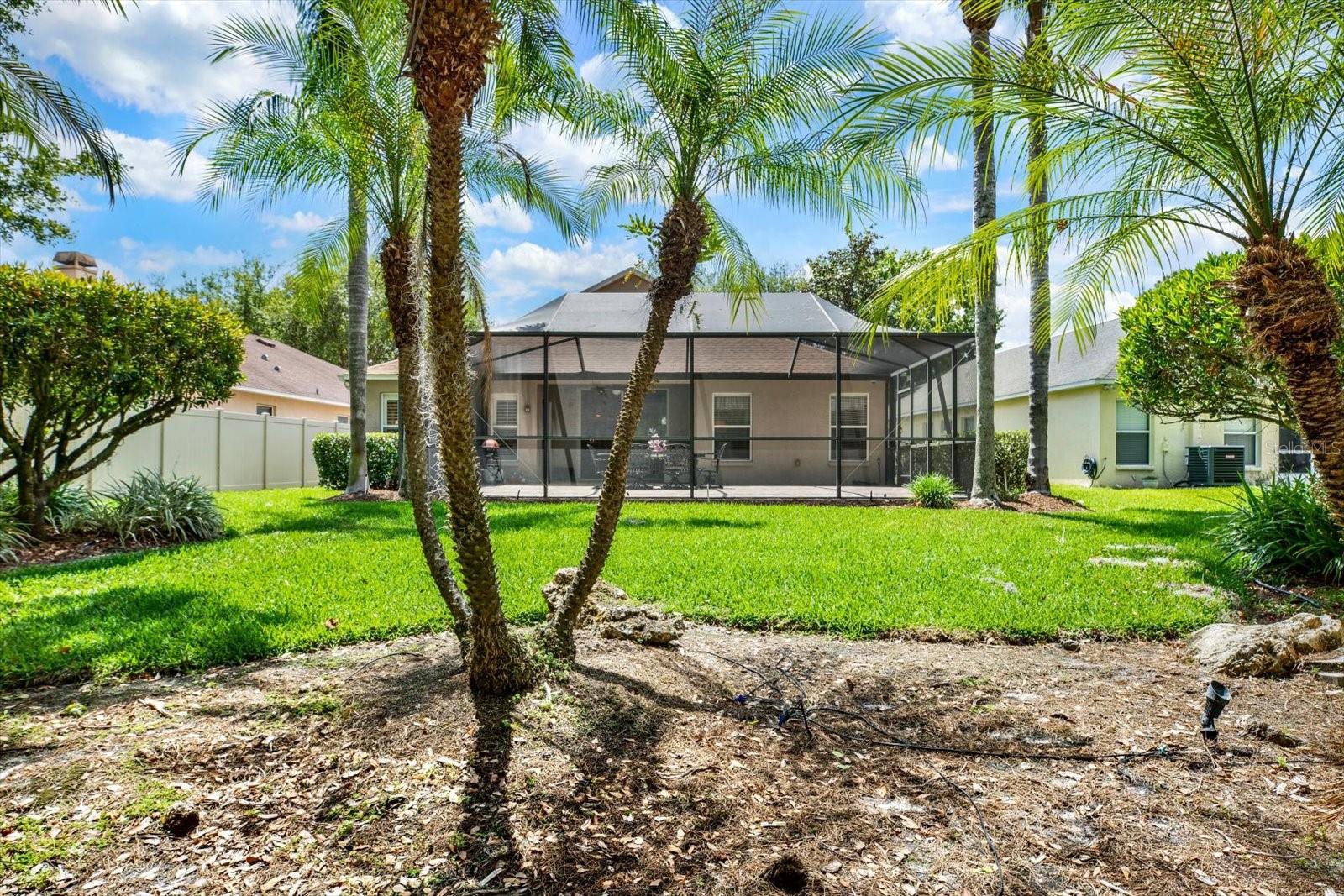 7642 CITRUS BLOSSOM DR, LAND O LAKES, FL, 34637