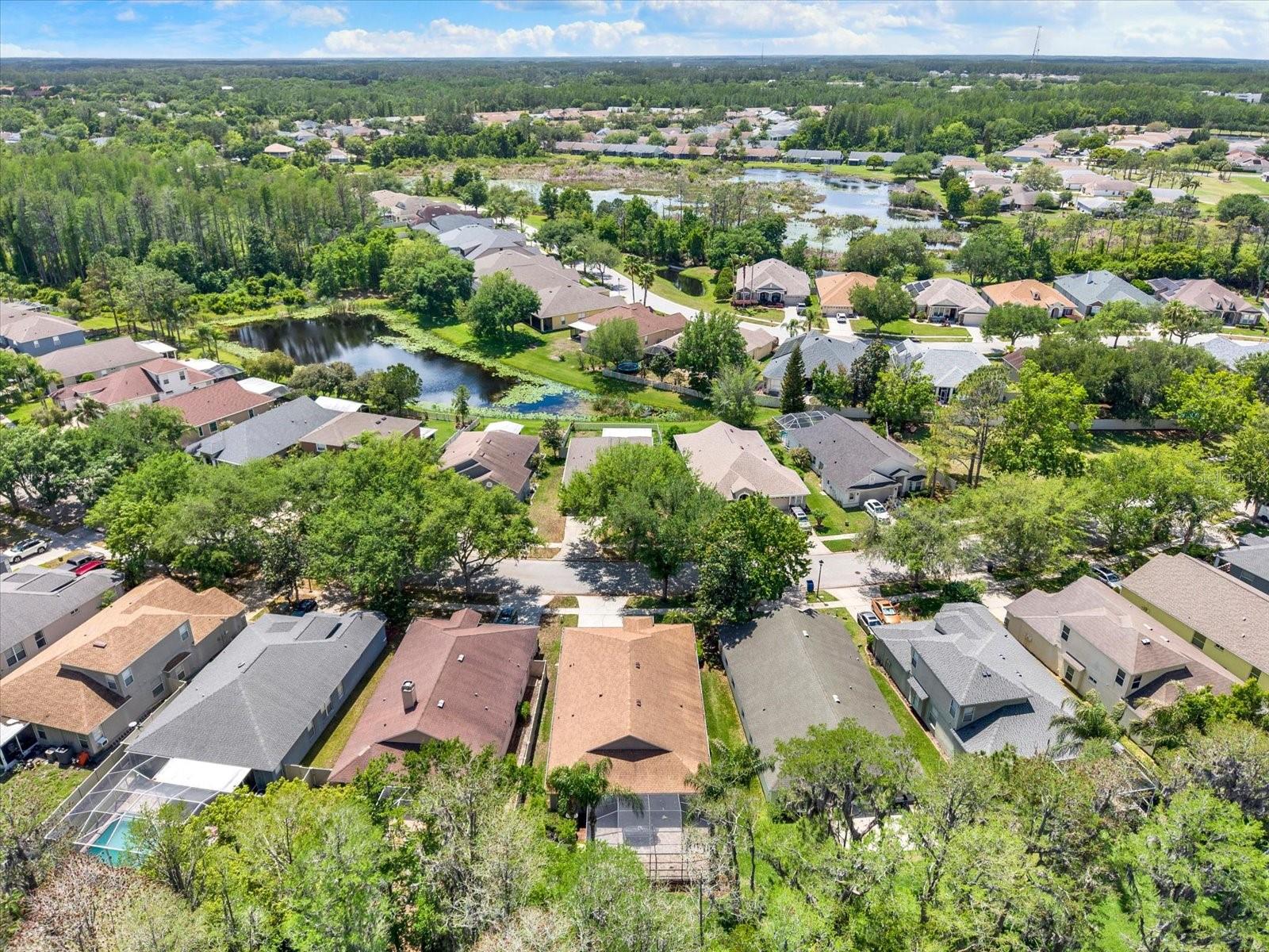 7642 CITRUS BLOSSOM DR, LAND O LAKES, FL, 34637