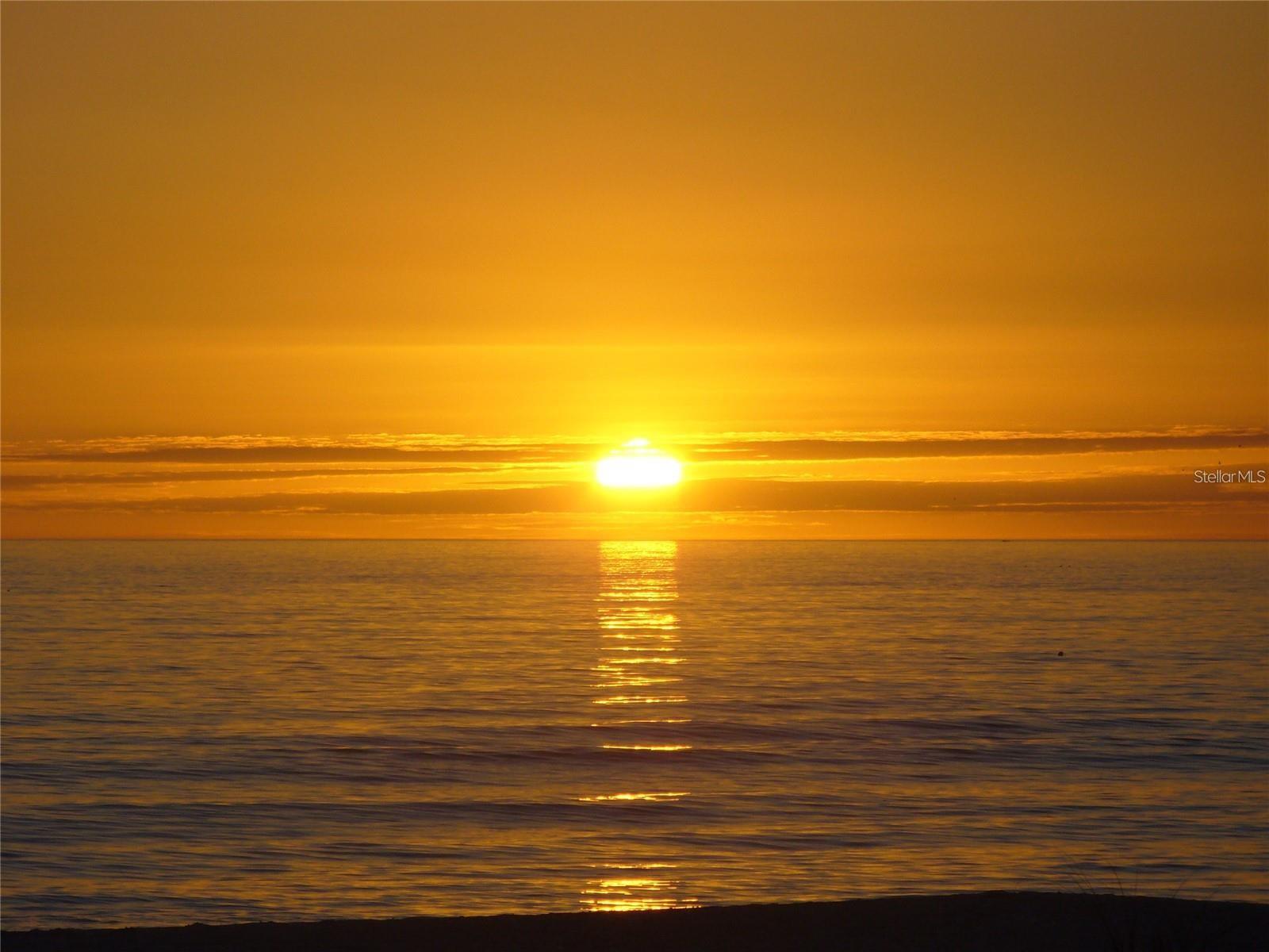 4410 FAIRWAYS BLVD #206, BRADENTON, FL, 34209