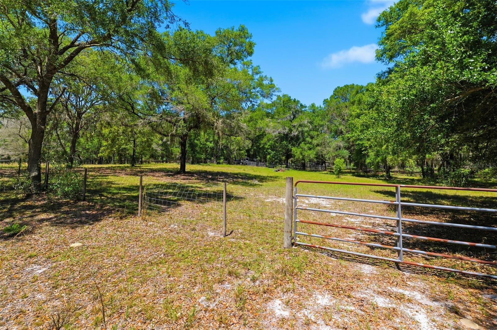 26331 BLACKJACK ST, BROOKSVILLE, FL, 34601