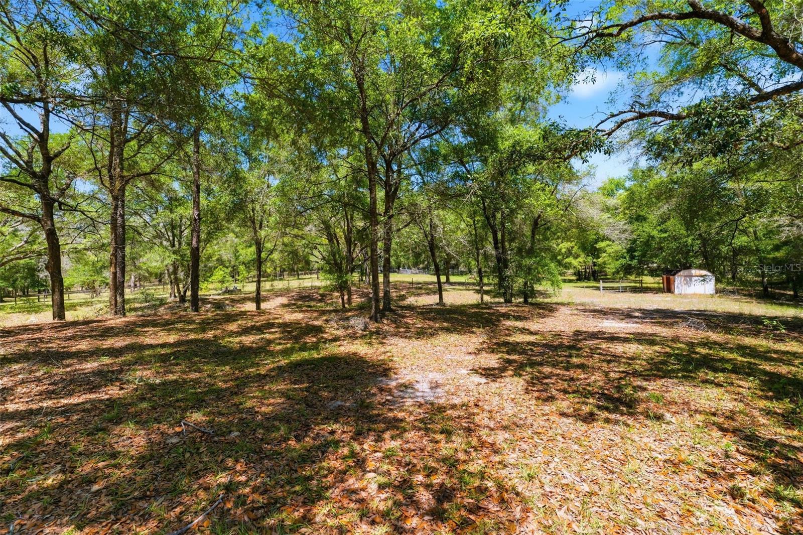 26331 BLACKJACK ST, BROOKSVILLE, FL, 34601