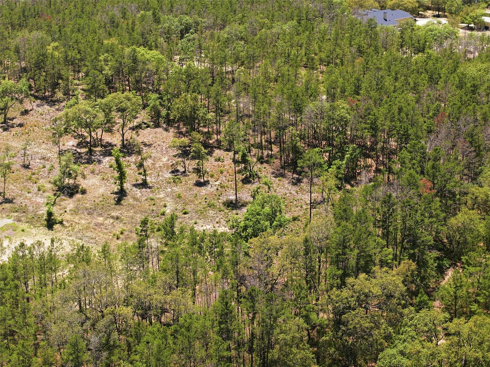 13331 HAVEN (LOT 4) TRL, WEEKI WACHEE, FL, 34614