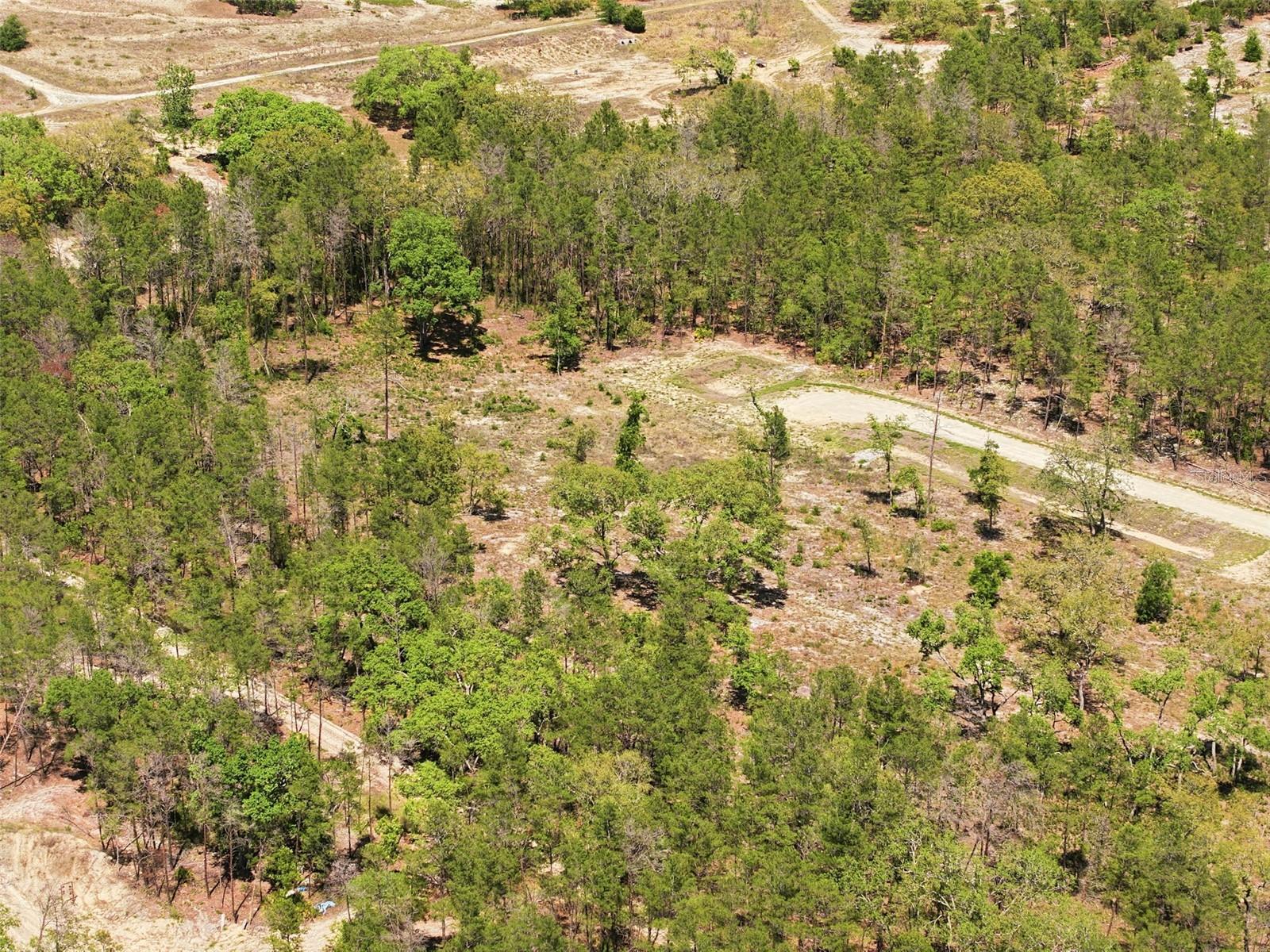 13331 HAVEN (LOT 4) TRL, WEEKI WACHEE, FL, 34614