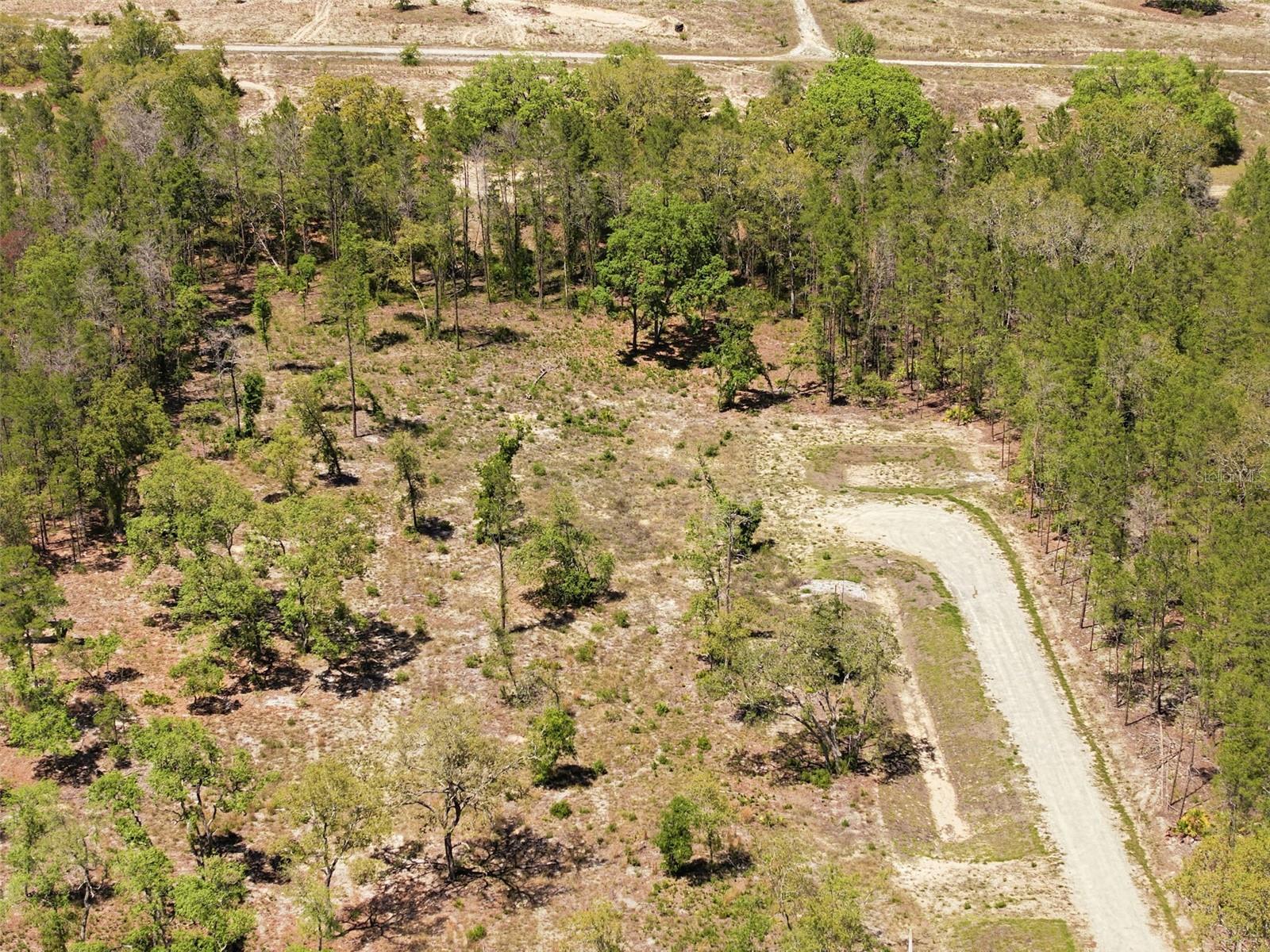 13331 HAVEN (LOT 4) TRL, WEEKI WACHEE, FL, 34614
