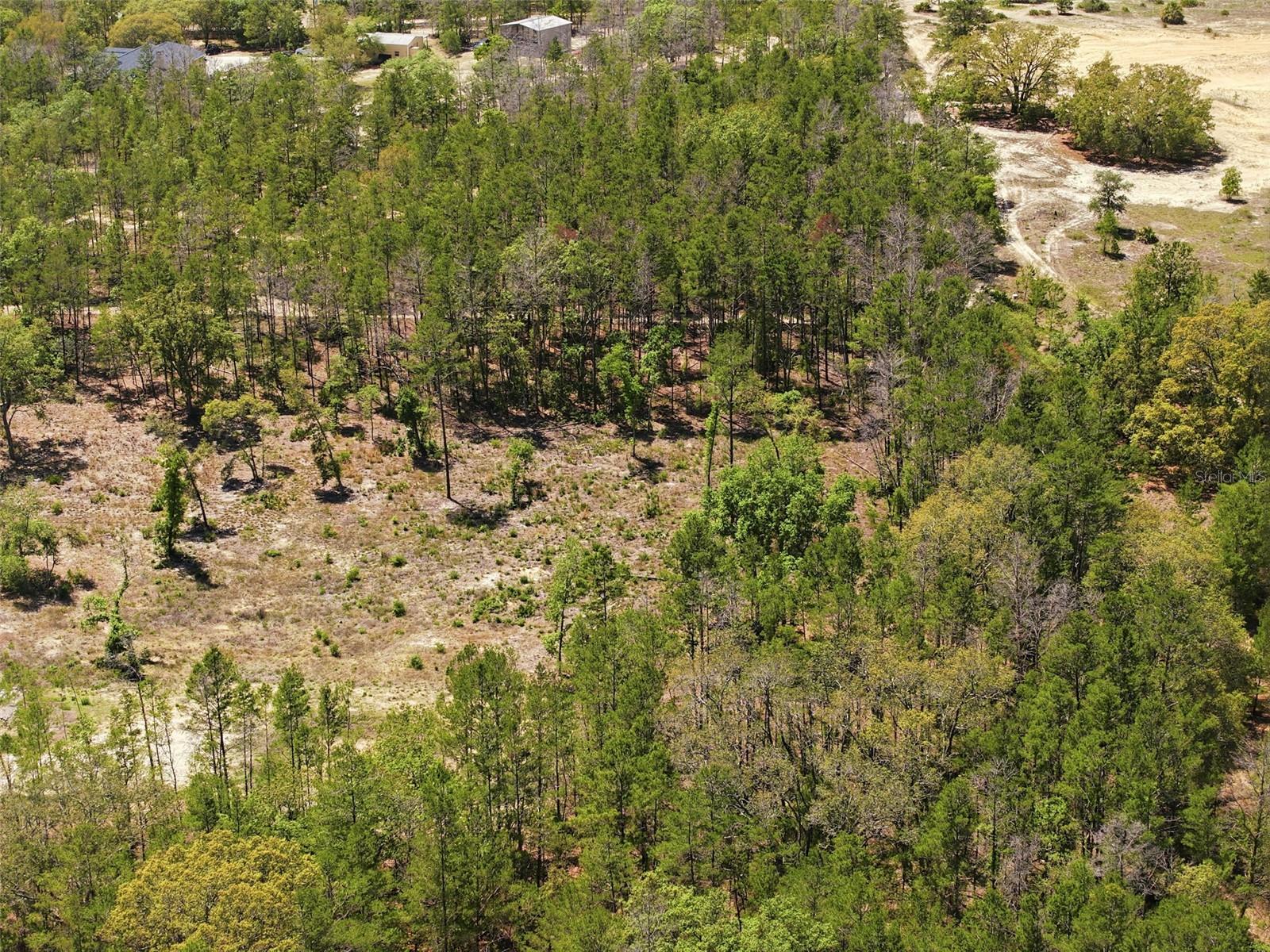 13331 HAVEN (LOT 4) TRL, WEEKI WACHEE, FL, 34614