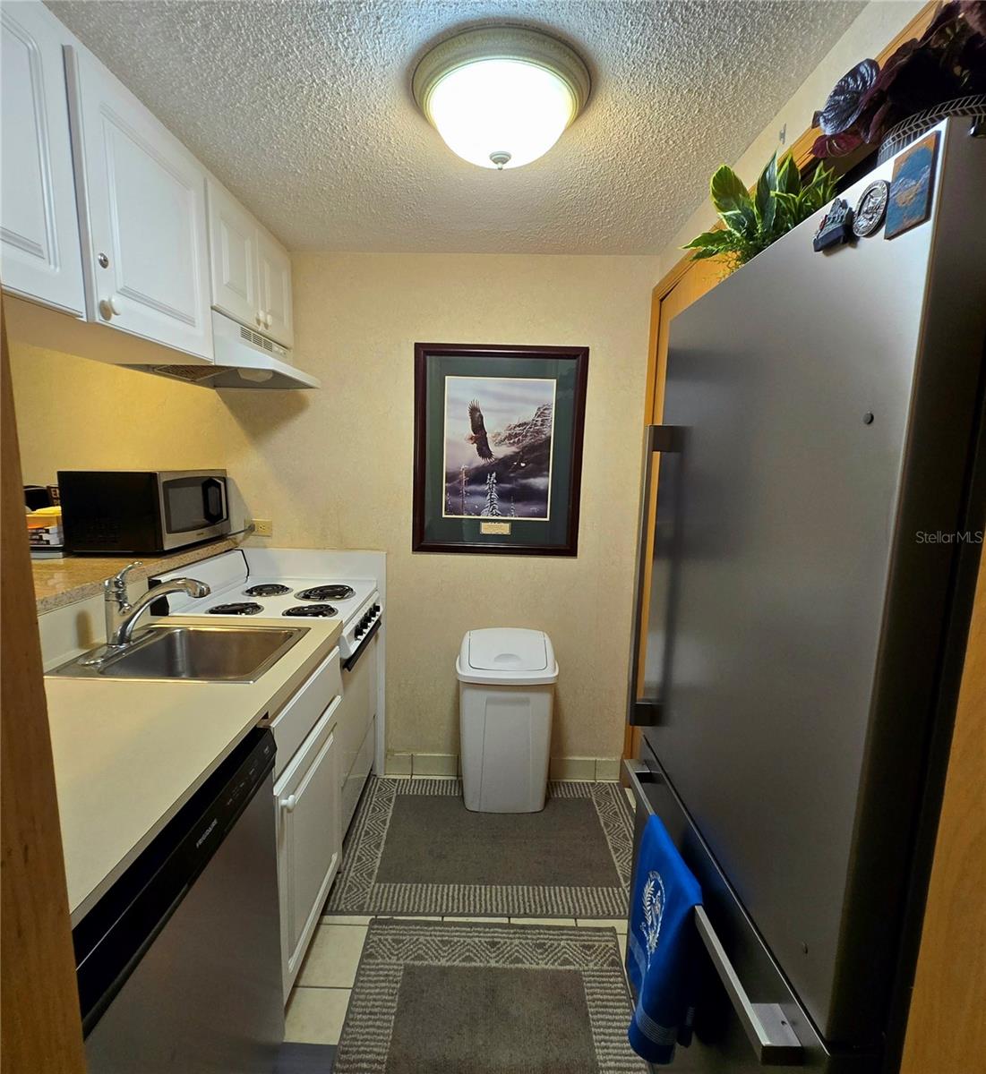 36750 US HIGHWAY 19 N #4-107, PALM HARBOR, FL, 34683