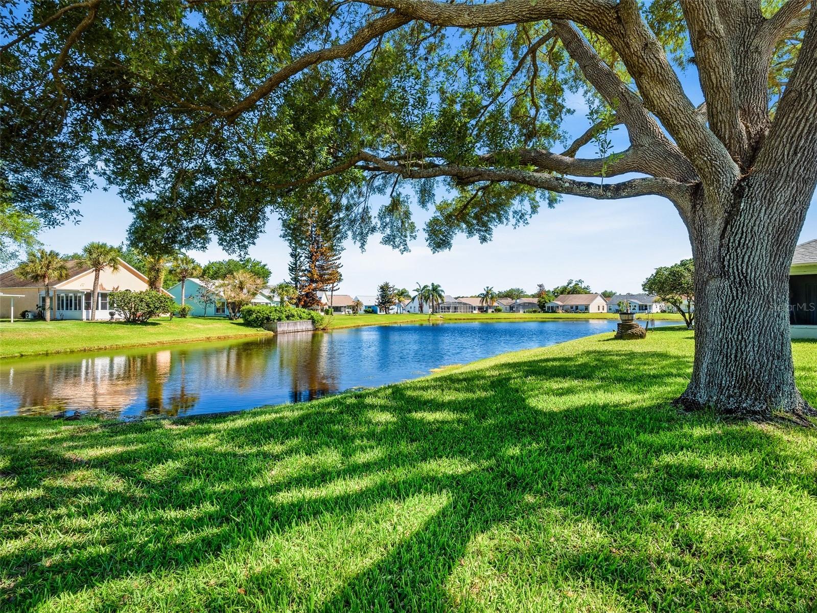 659 WELLESLEY CT, NEW SMYRNA BEACH, FL, 32168