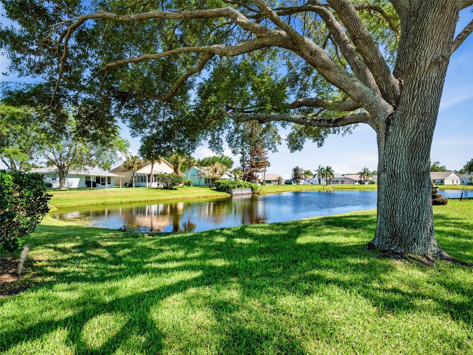 659 WELLESLEY CT, NEW SMYRNA BEACH, FL, 32168