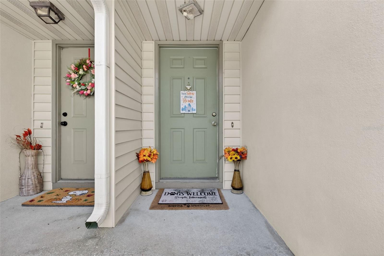 6126 SUNNYVALE DR #2303, ORLANDO, FL, 32822