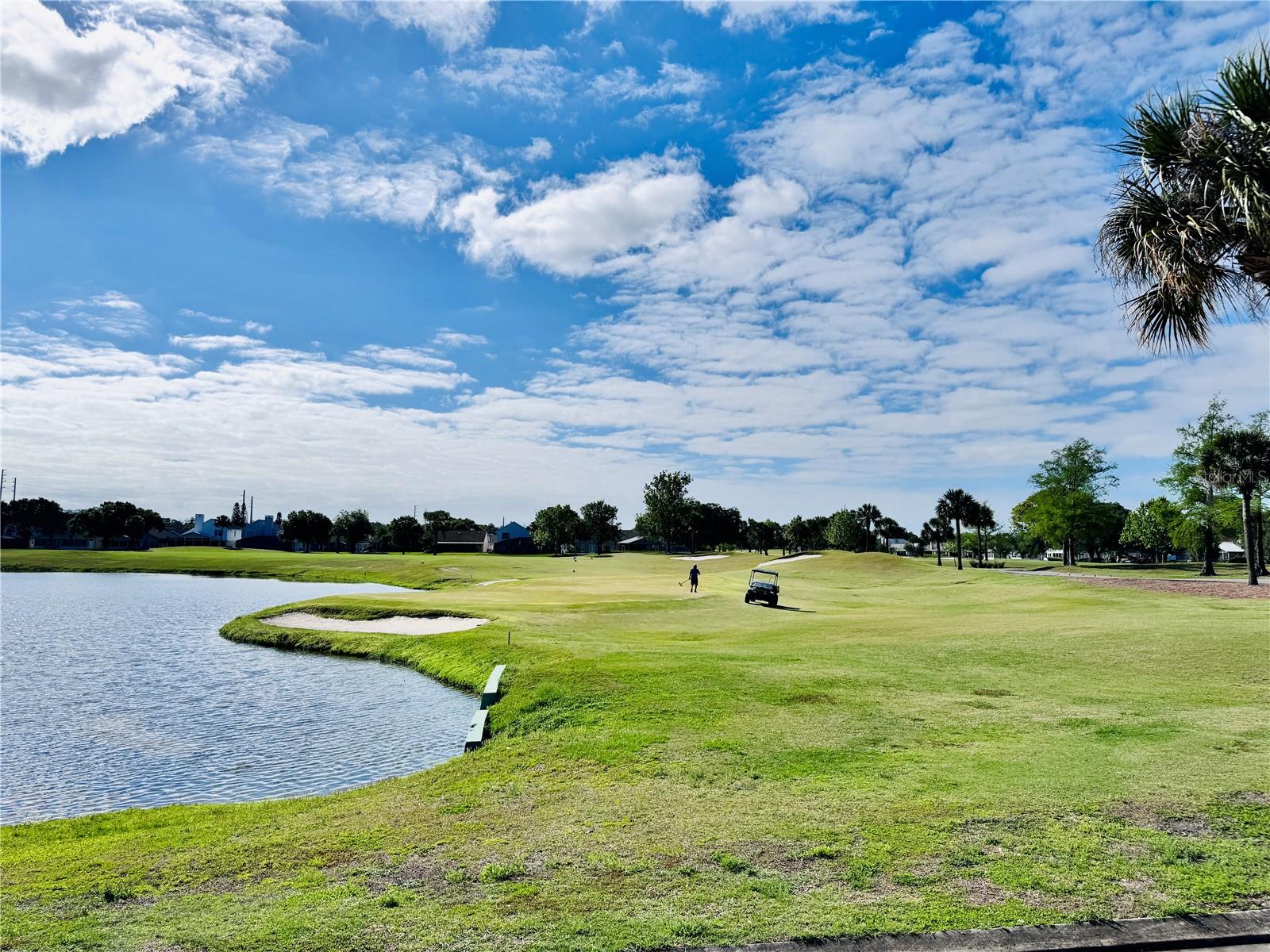 6126 SUNNYVALE DR #2303, ORLANDO, FL, 32822