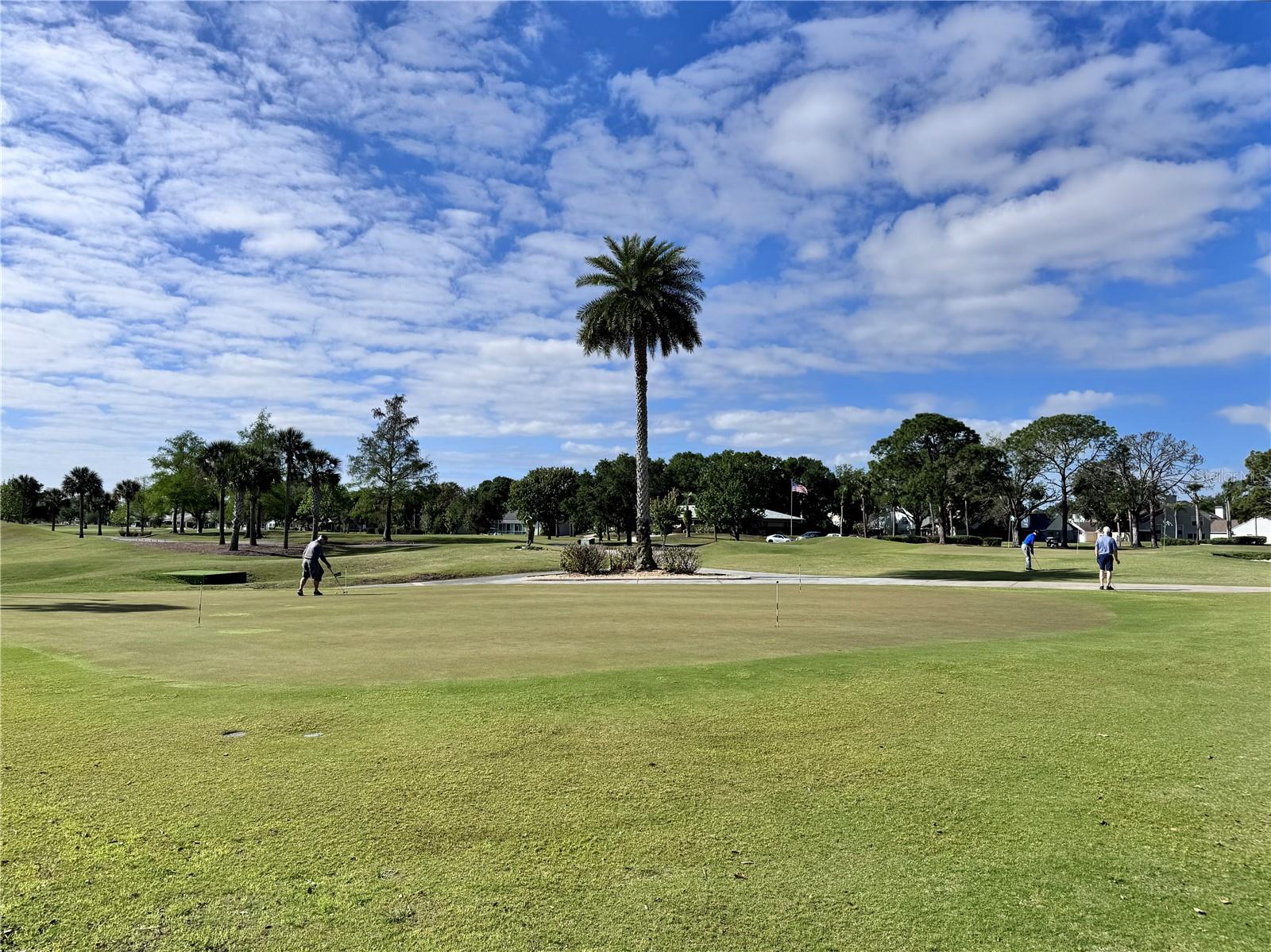 6126 SUNNYVALE DR #2303, ORLANDO, FL, 32822