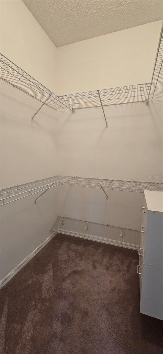 628 DOMINGUEZ DR, LADY LAKE, FL, 32159