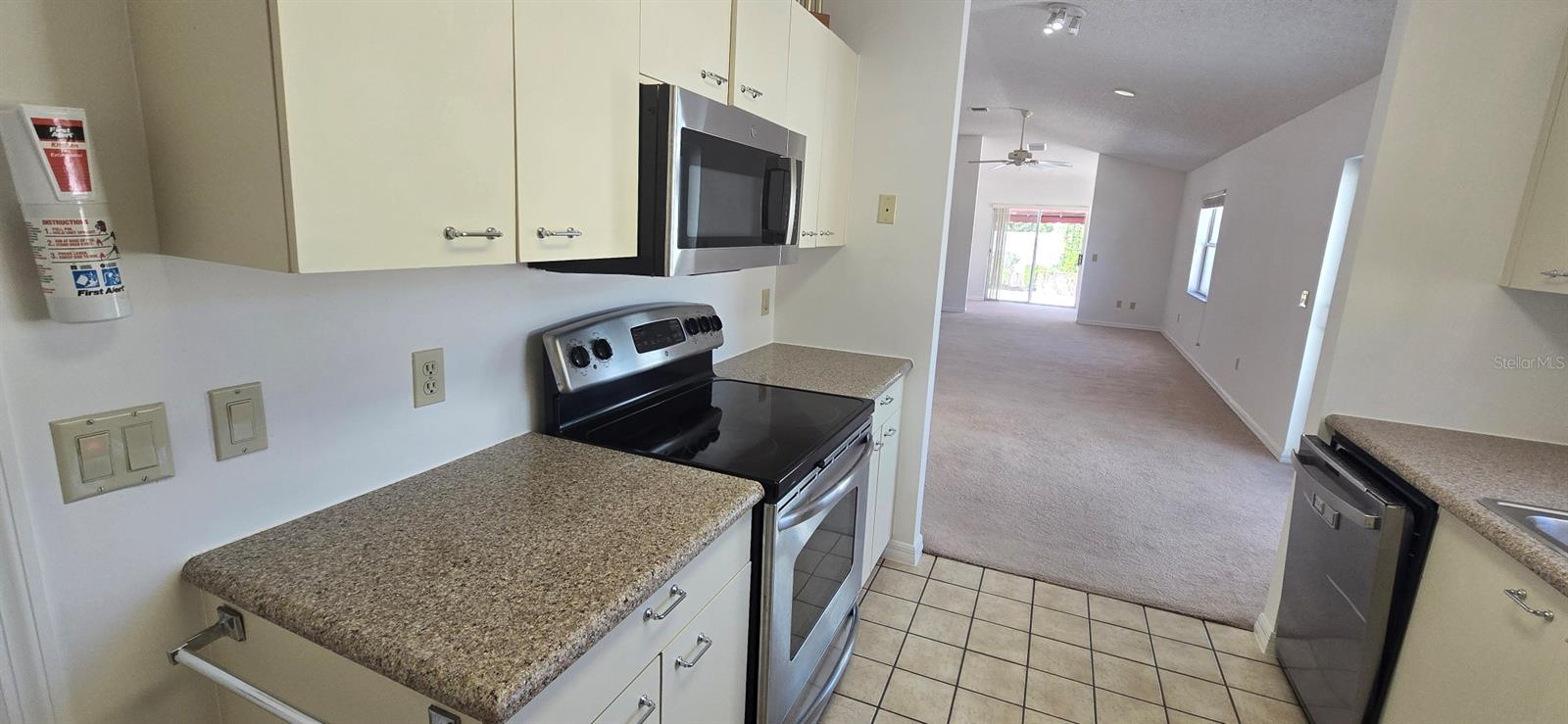 628 DOMINGUEZ DR, LADY LAKE, FL, 32159