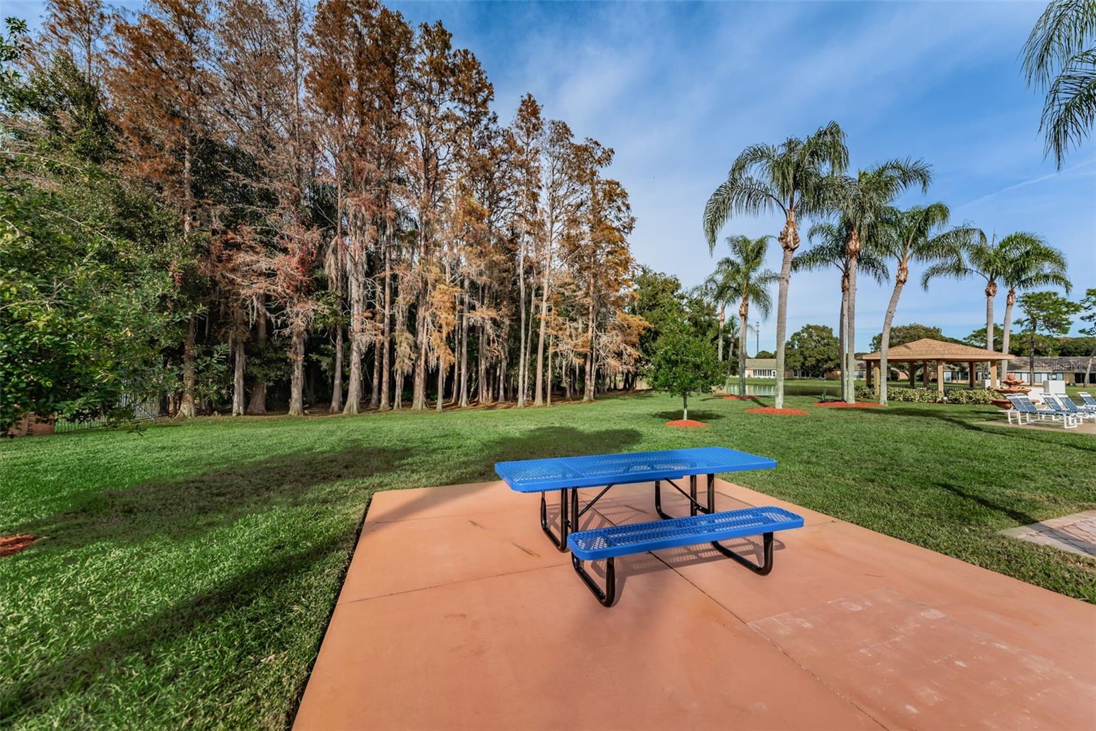 9427 CAPE CHARLES AVE, NEW PORT RICHEY, FL, 34655