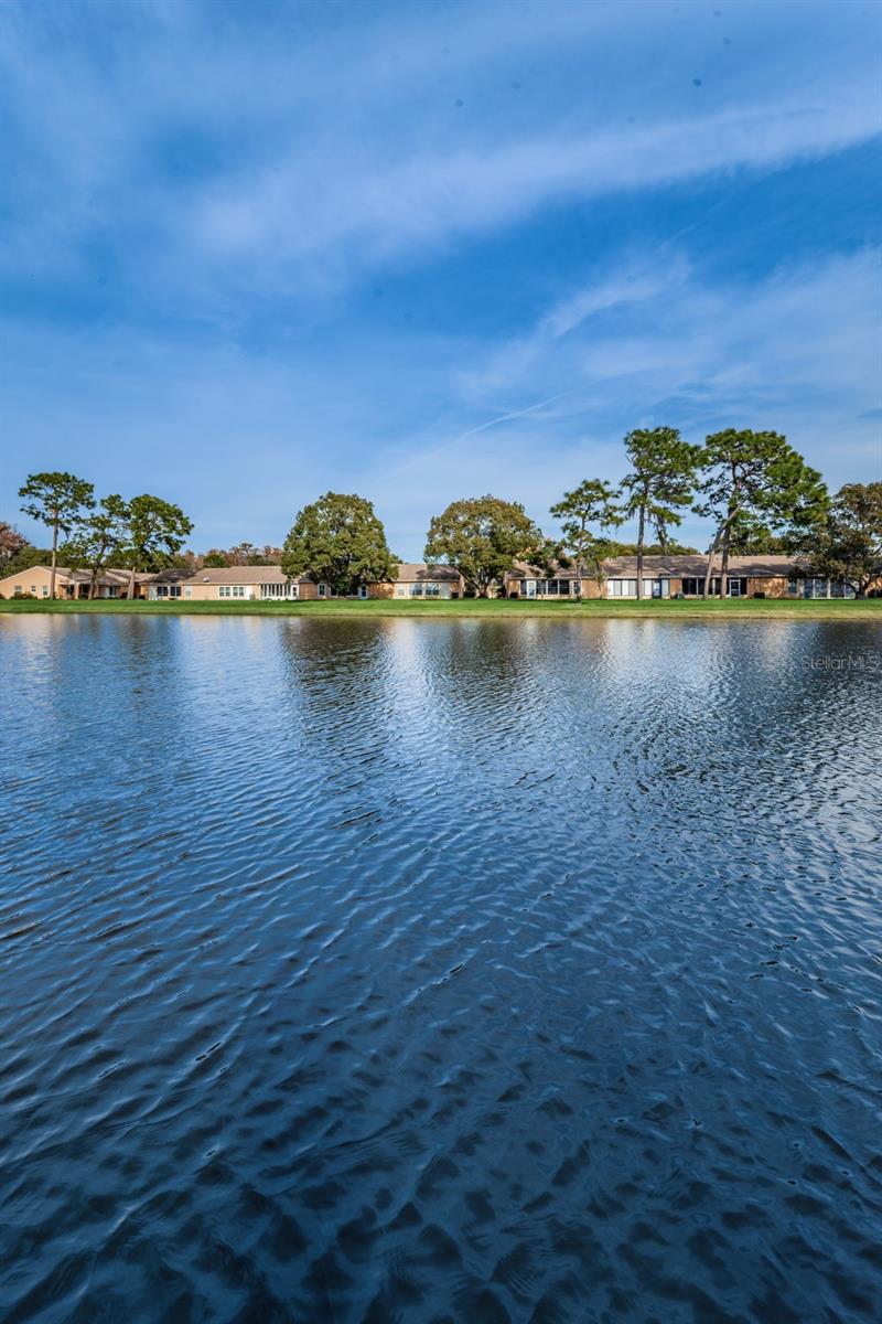 9427 CAPE CHARLES AVE, NEW PORT RICHEY, FL, 34655