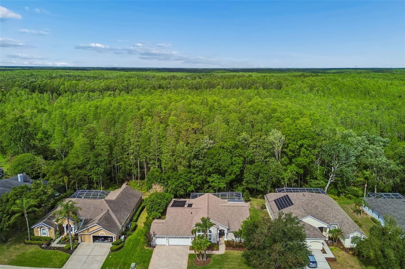 19004 SAINT LAURENT DR, LUTZ, FL, 33558