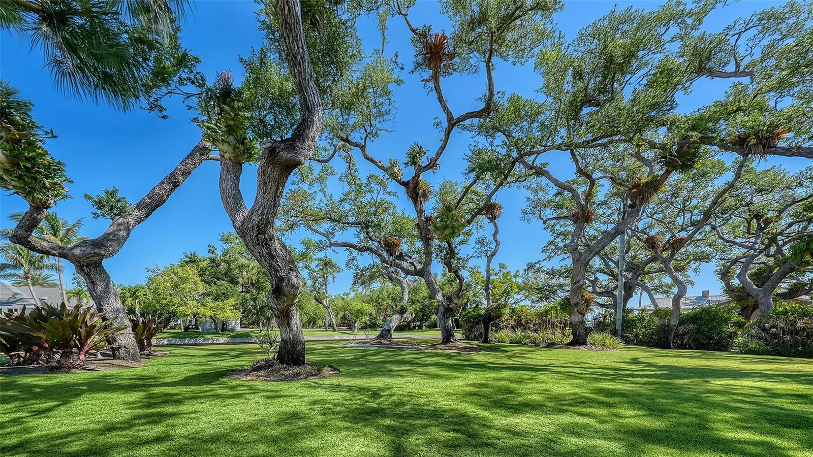 1249 S BASIN LN, SARASOTA, FL, 34242