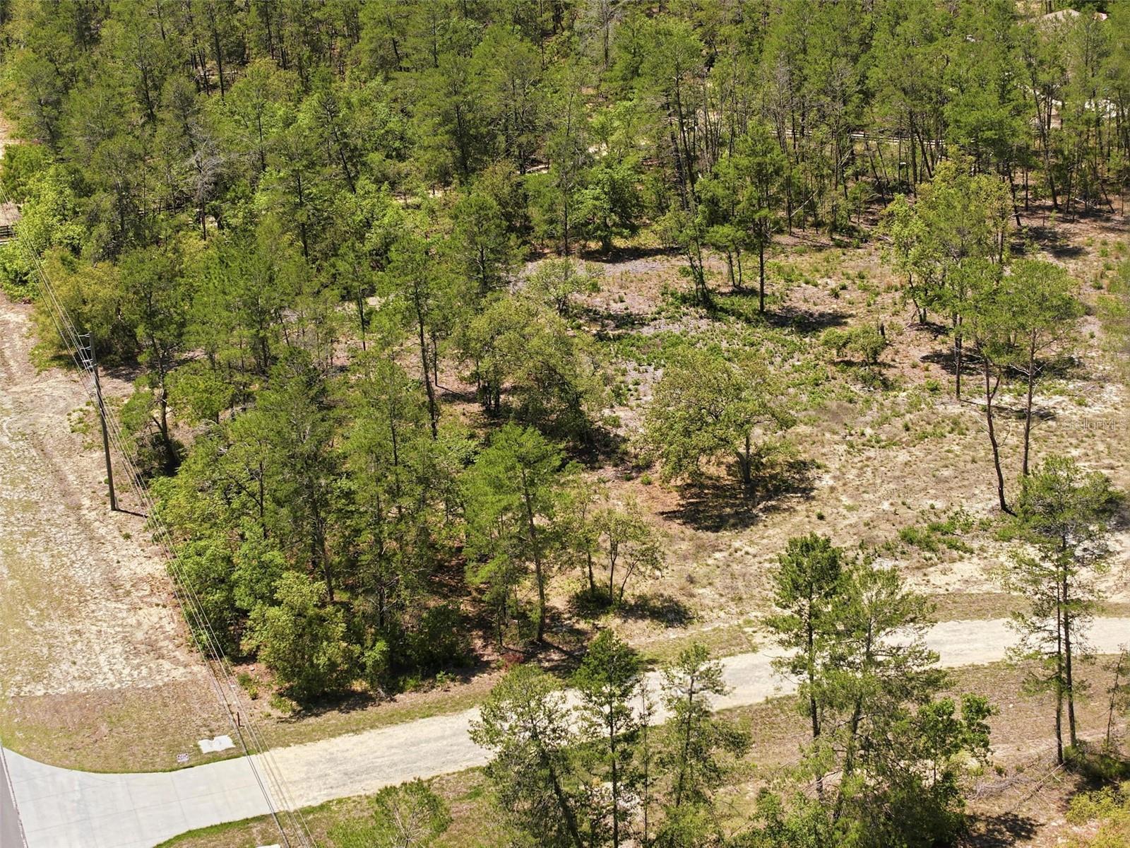 13183 HAVEN (LOT 1) TRL, WEEKI WACHEE, FL, 34614