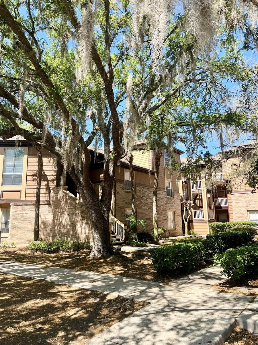 486 N PIN OAK PL #202, LONGWOOD, FL, 32779