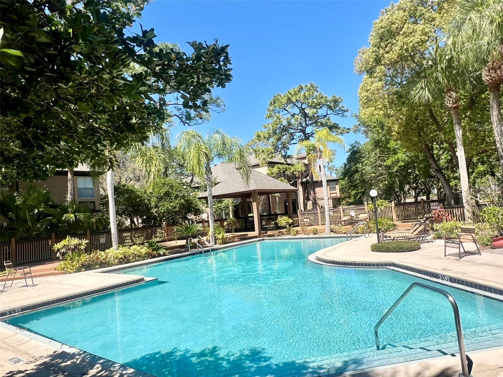 486 N PIN OAK PL #202, LONGWOOD, FL, 32779