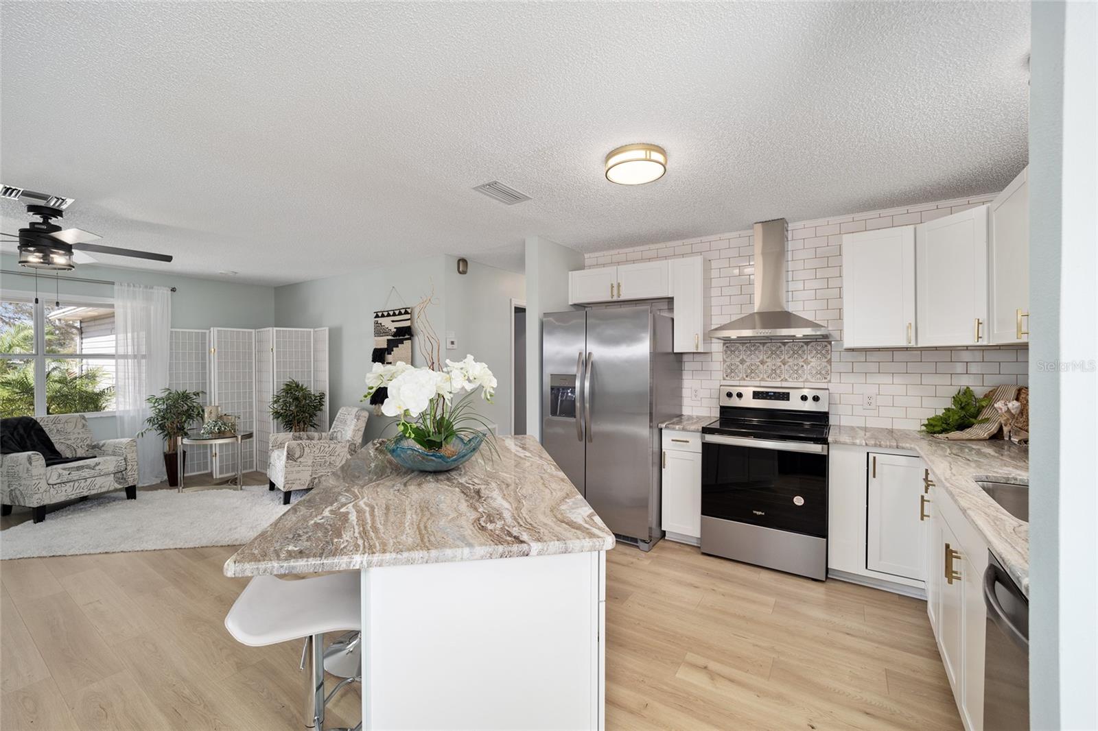 1613 CHERRY HILL RD, THE VILLAGES, FL, 32159