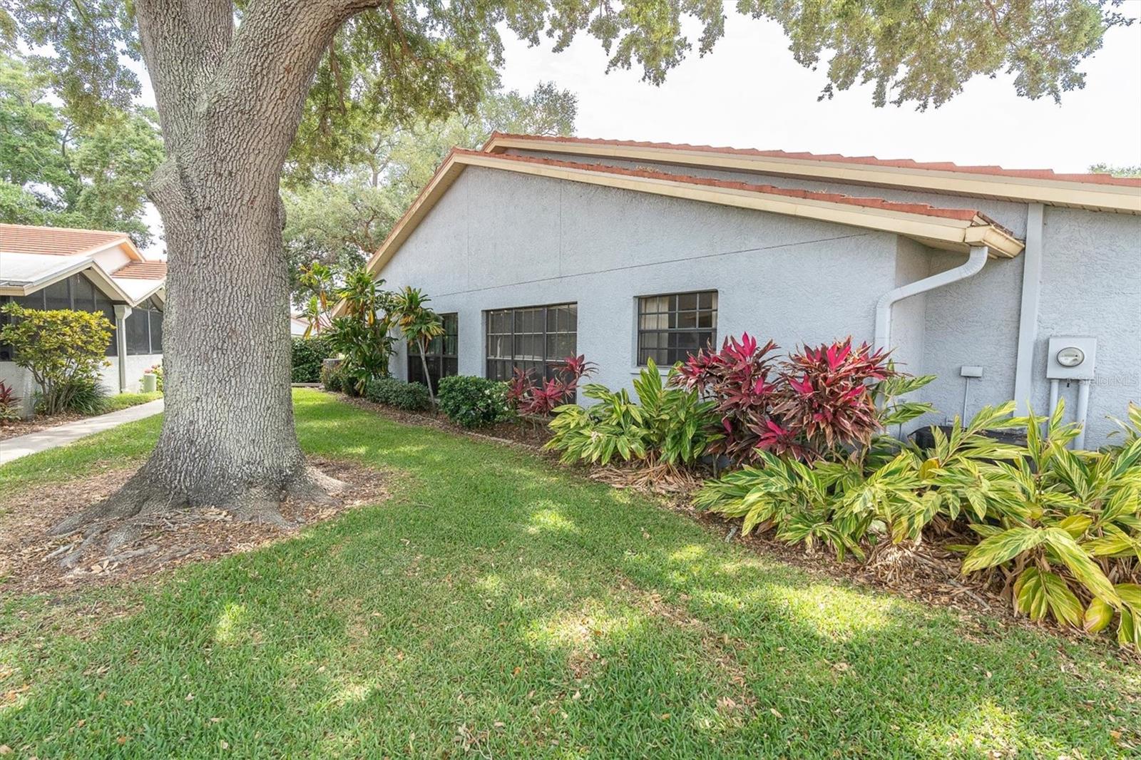 2023 NASH DR, CLEARWATER, FL, 33763