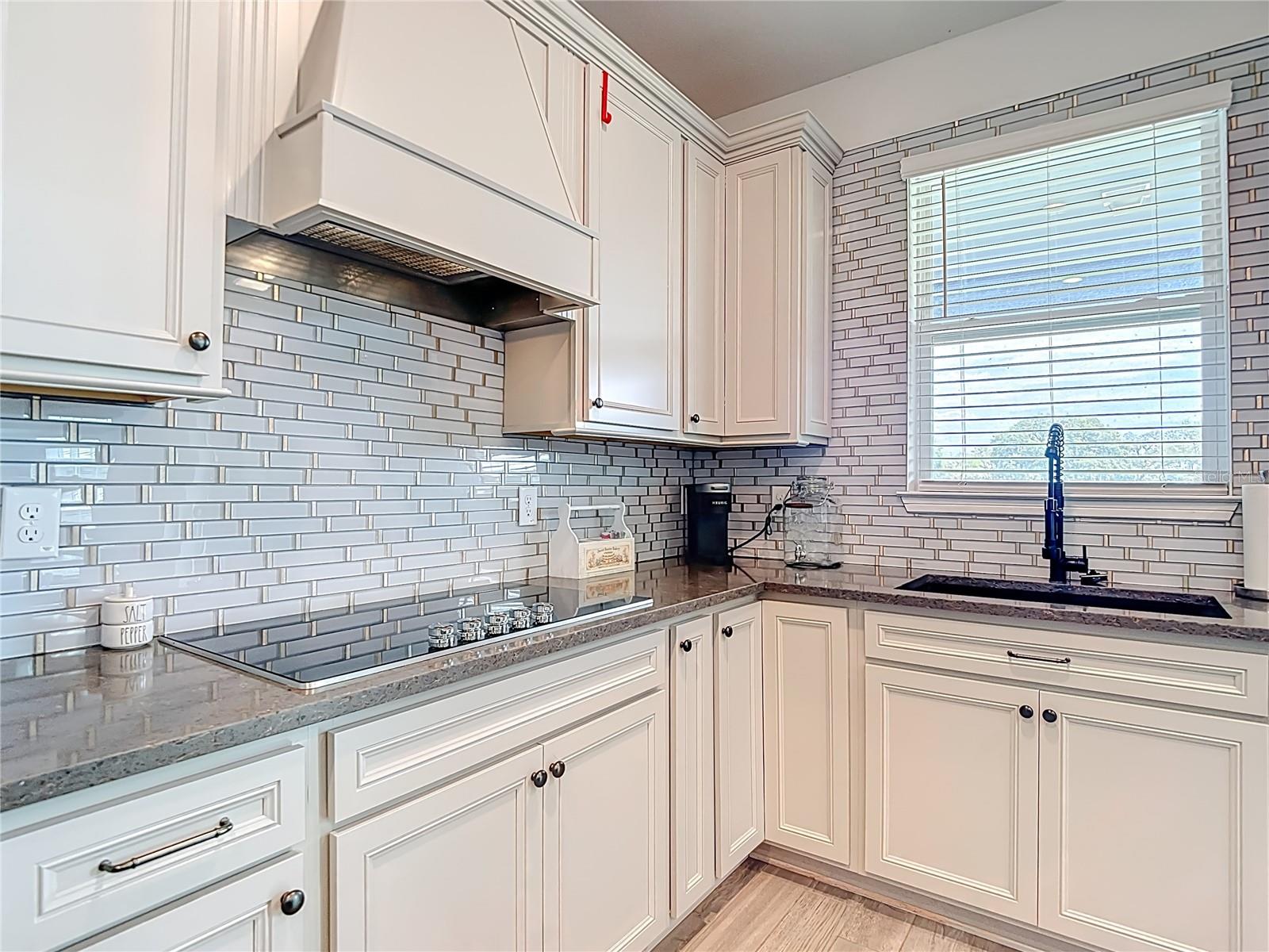 6136 BRADFORD WOODS DR, ZEPHYRHILLS, FL, 33542