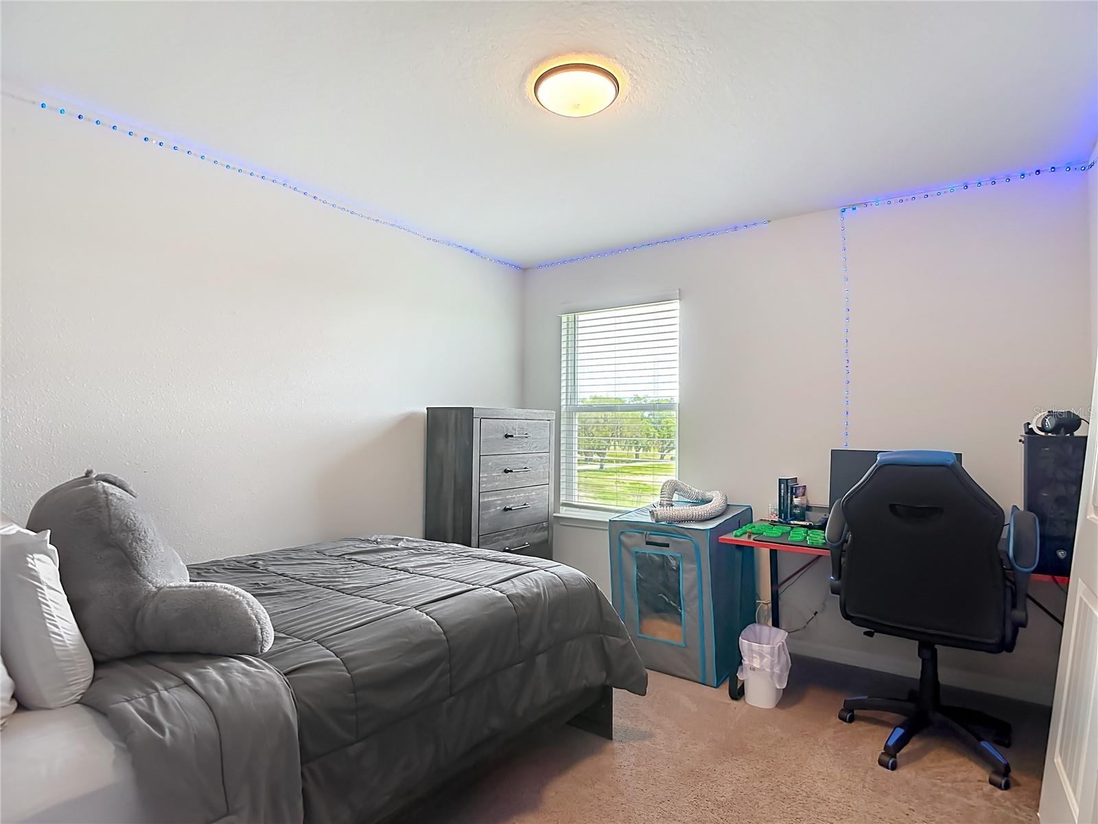 6136 BRADFORD WOODS DR, ZEPHYRHILLS, FL, 33542